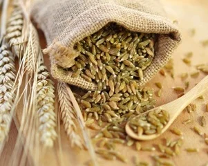 Pourquoi le gluten nuit à votre santé