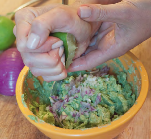 guacamole1.png