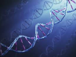 methylation.jpeg