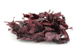 dulse.jpeg