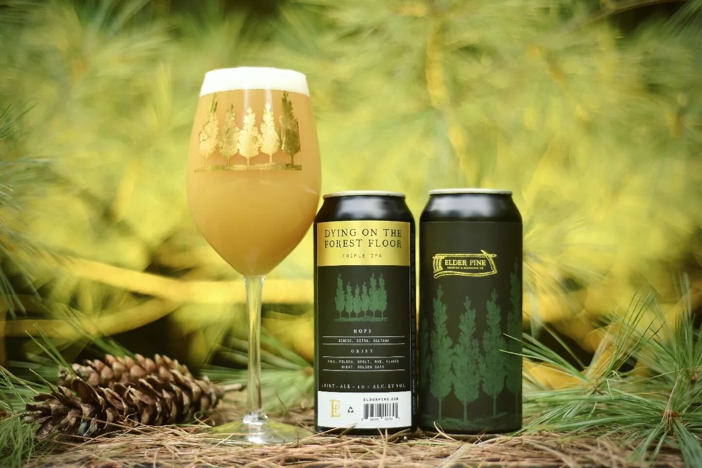 DYING ON THE FOREST FLOOR
Hazy Triple IPA
10% abv

This massive TIPA is brewed with high protein grains for a soft &amp; creamy mouthfeel and irresponsibly hopped with Simcoe, Citra, and Sultana. The Simcoe produces an insane level of saturated sappi