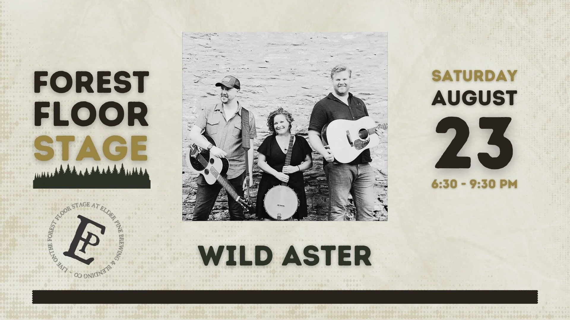 Wild Aster | LIVE on The Forest Floor Stage