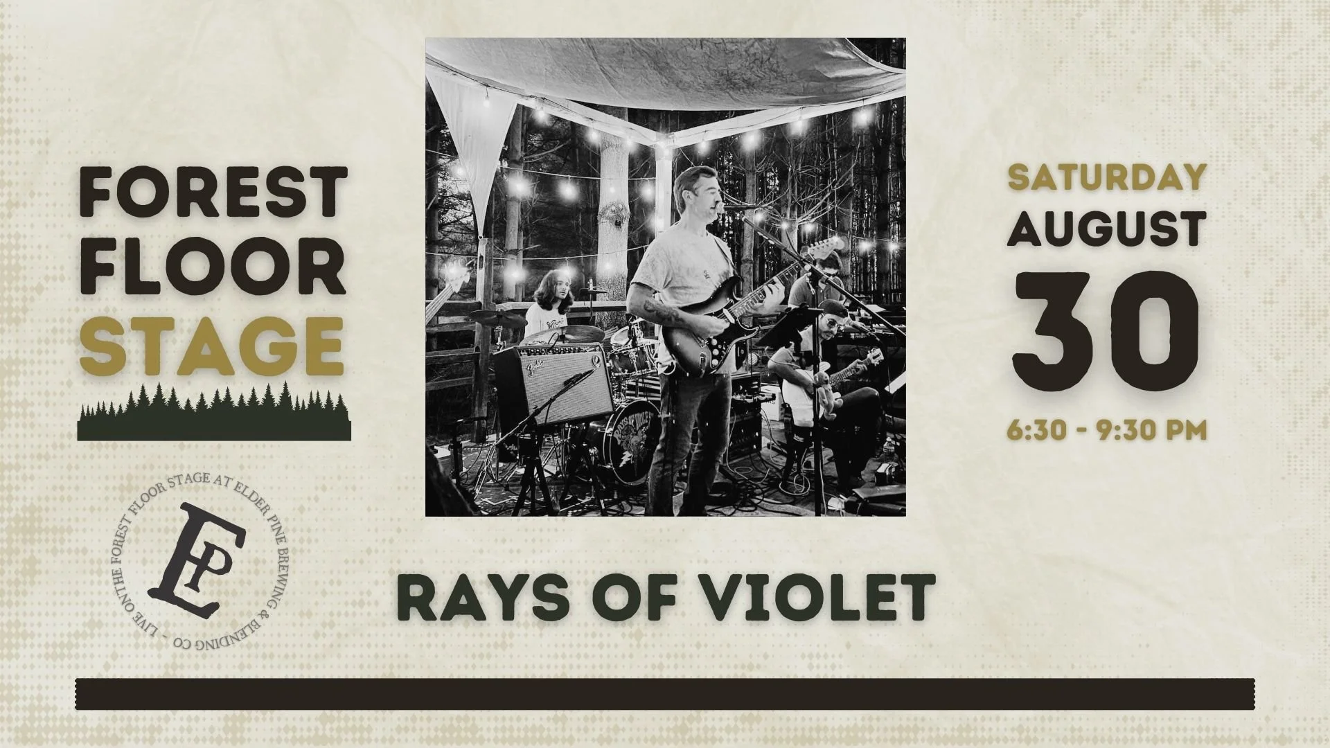 Rays of Violet | LIVE on The Forest Floor