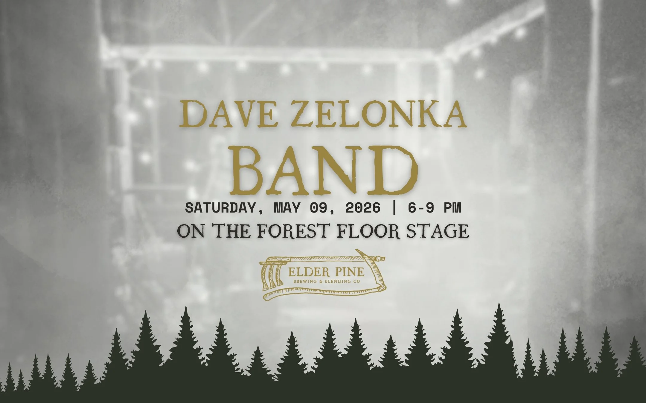 LIVE on the Forest Floor Stage | Dave Zelonka Band