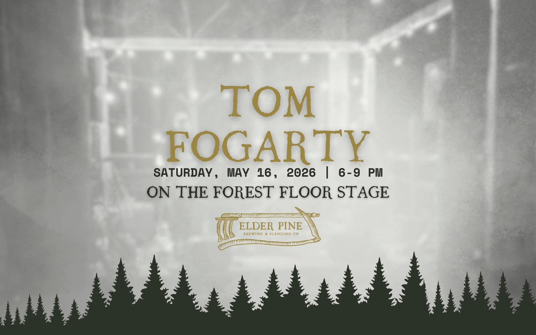 LIVE on the Forest Floor Stage | Tom Fogarty