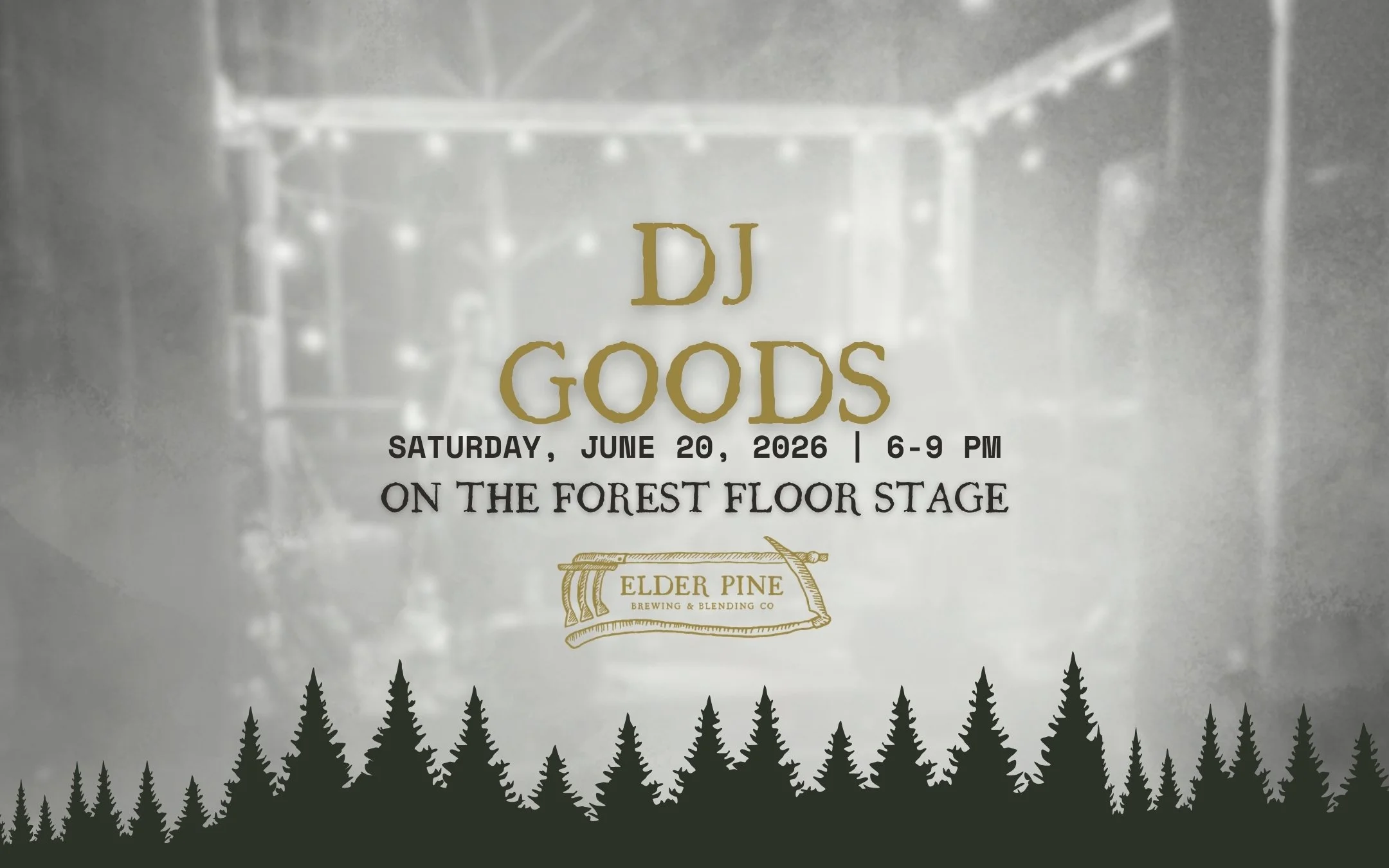 SUMMER SOLSTICE on the Forest Floor Stage | DJ GOODS