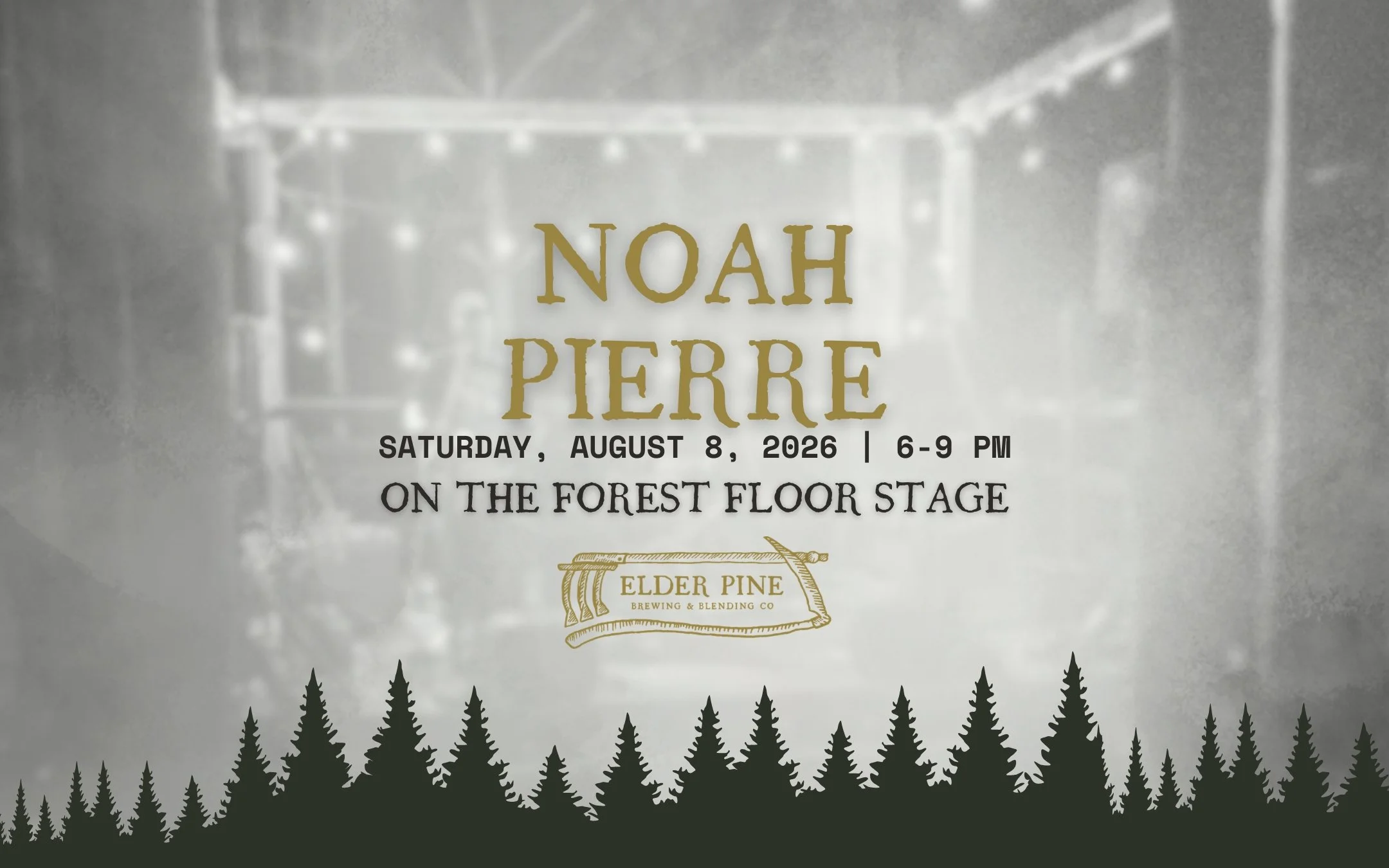 LIVE ON THE FOREST FLOOR STAGE | NOAH PIERRE