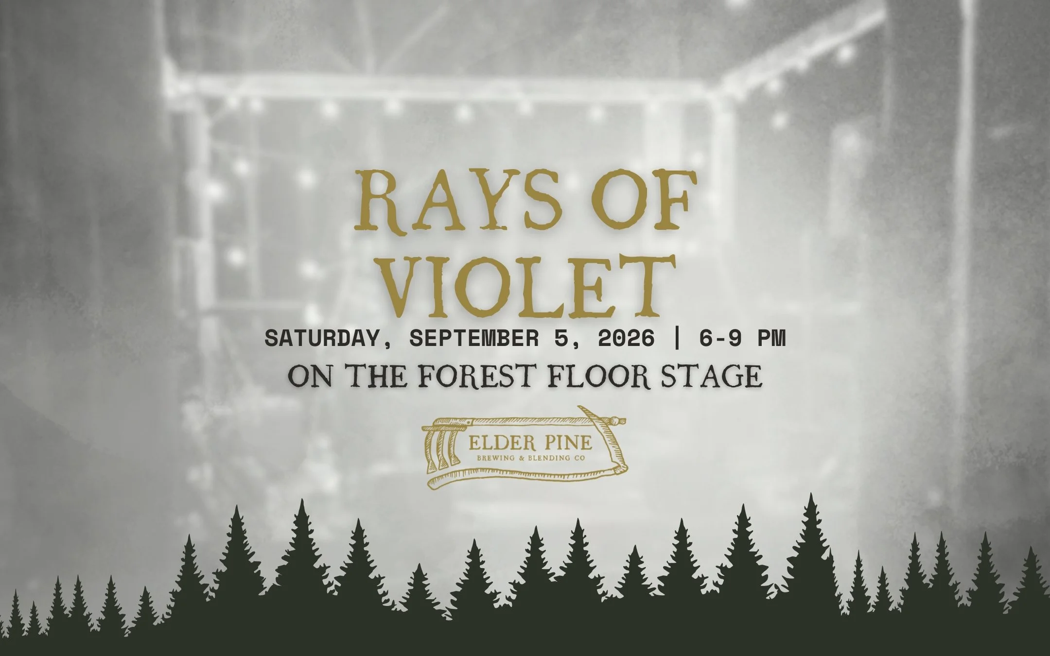 LIVE ON THE FOREST FLOOR STAGE | RAYS OF VIOLET