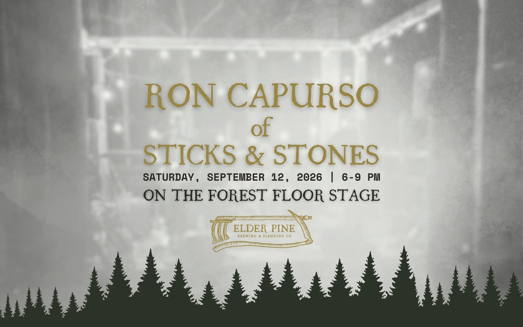 LIVE ON THE FOREST FLOOR STAGE | RON CAPURSO STICKS &amp; STONES