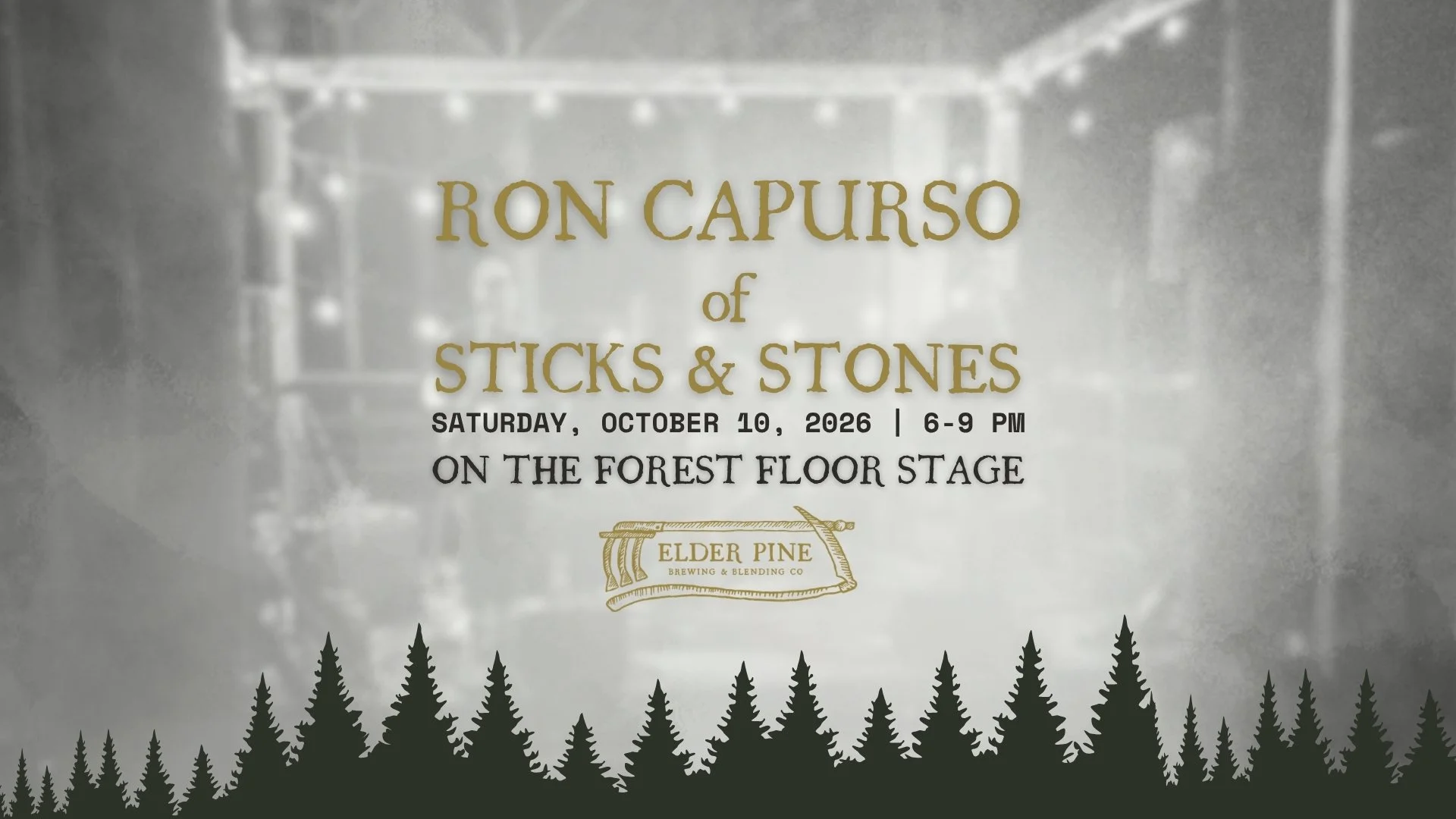 LIVE ON THE FOREST FLOOR STAGE | RON CAPURSO OF STICKS &amp; STONES