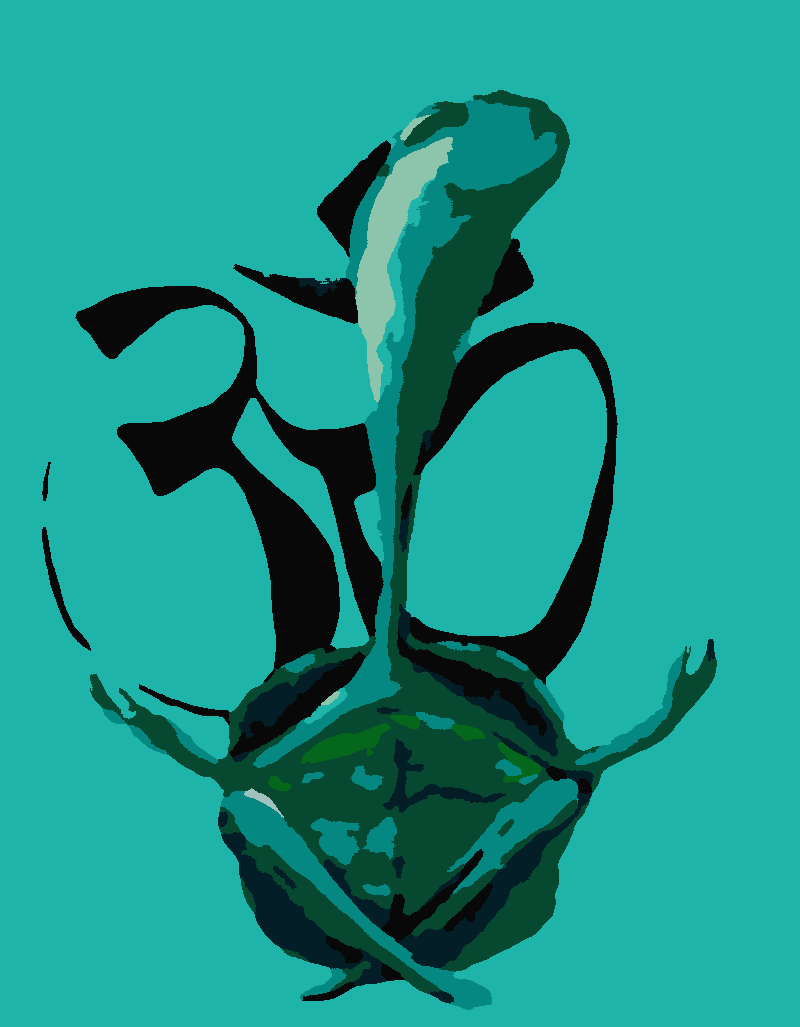 omfrogcolor.png