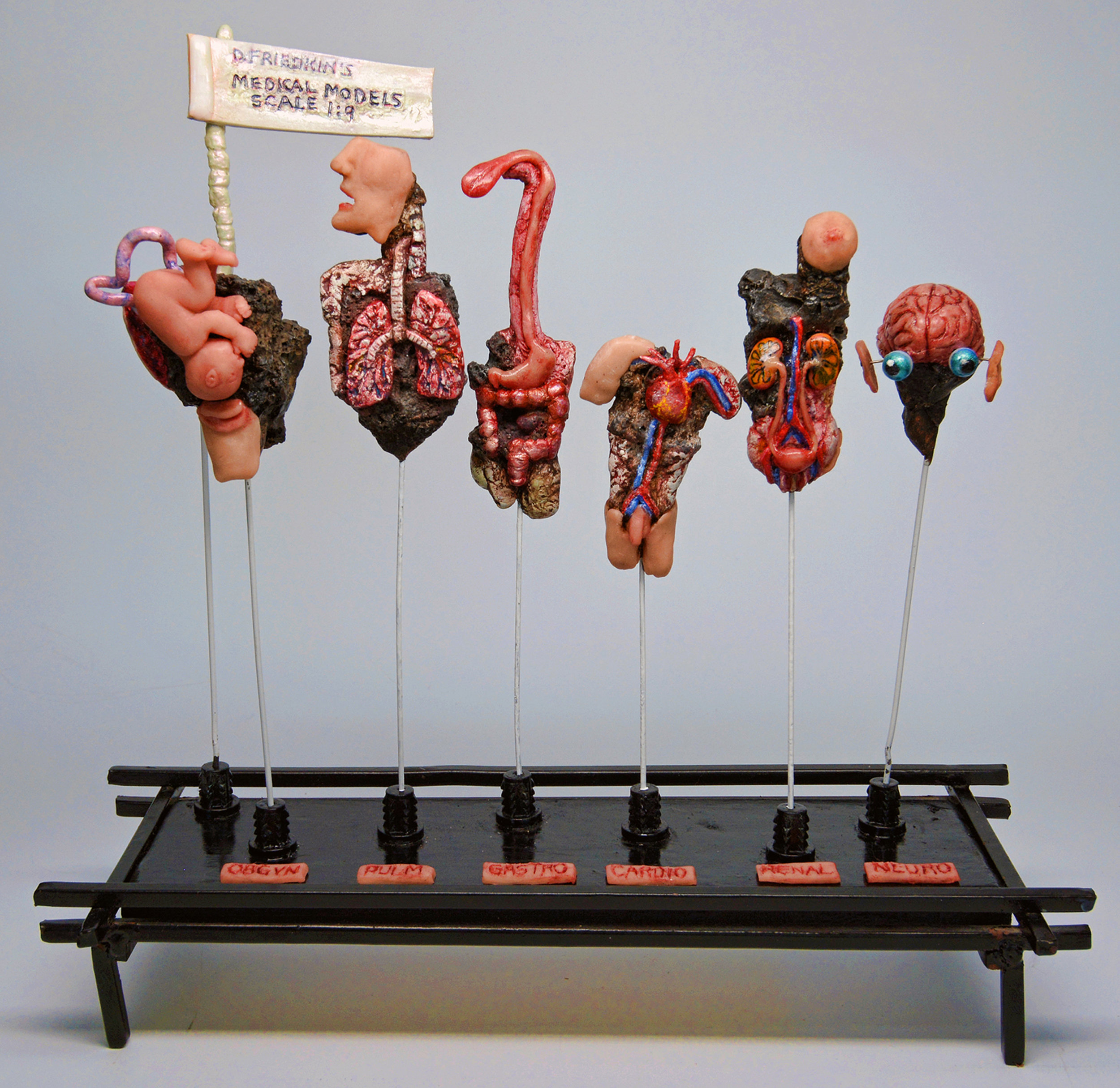 Medical Models