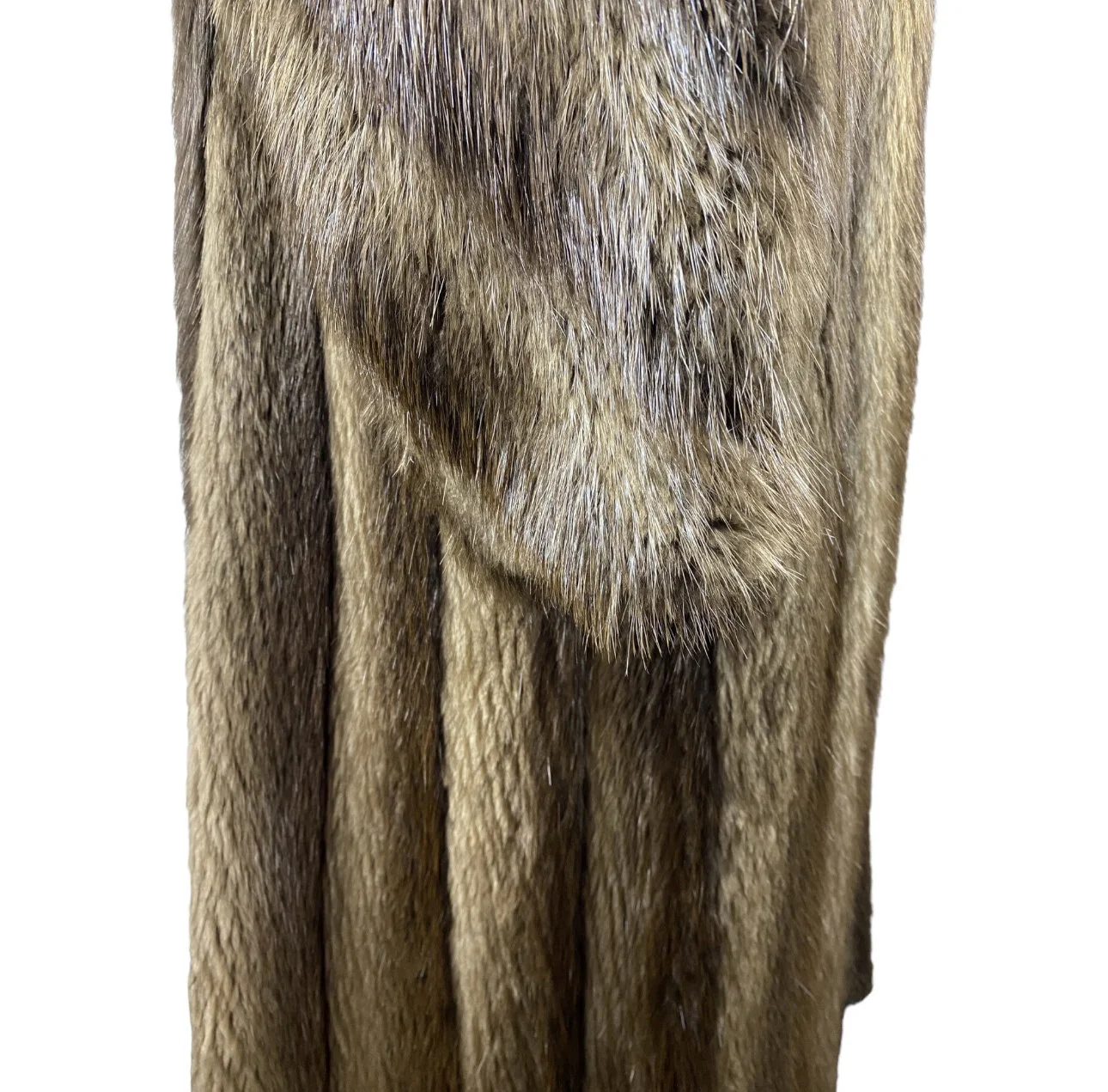 1AE4C9D3-BE11-469E-AEDF-11AC8064B18E