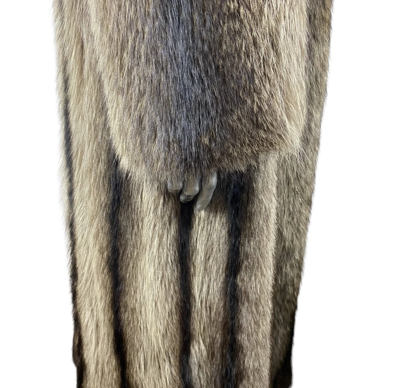 EE66FF2F-E86D-4A6E-9B5A-BC10C11A95BF