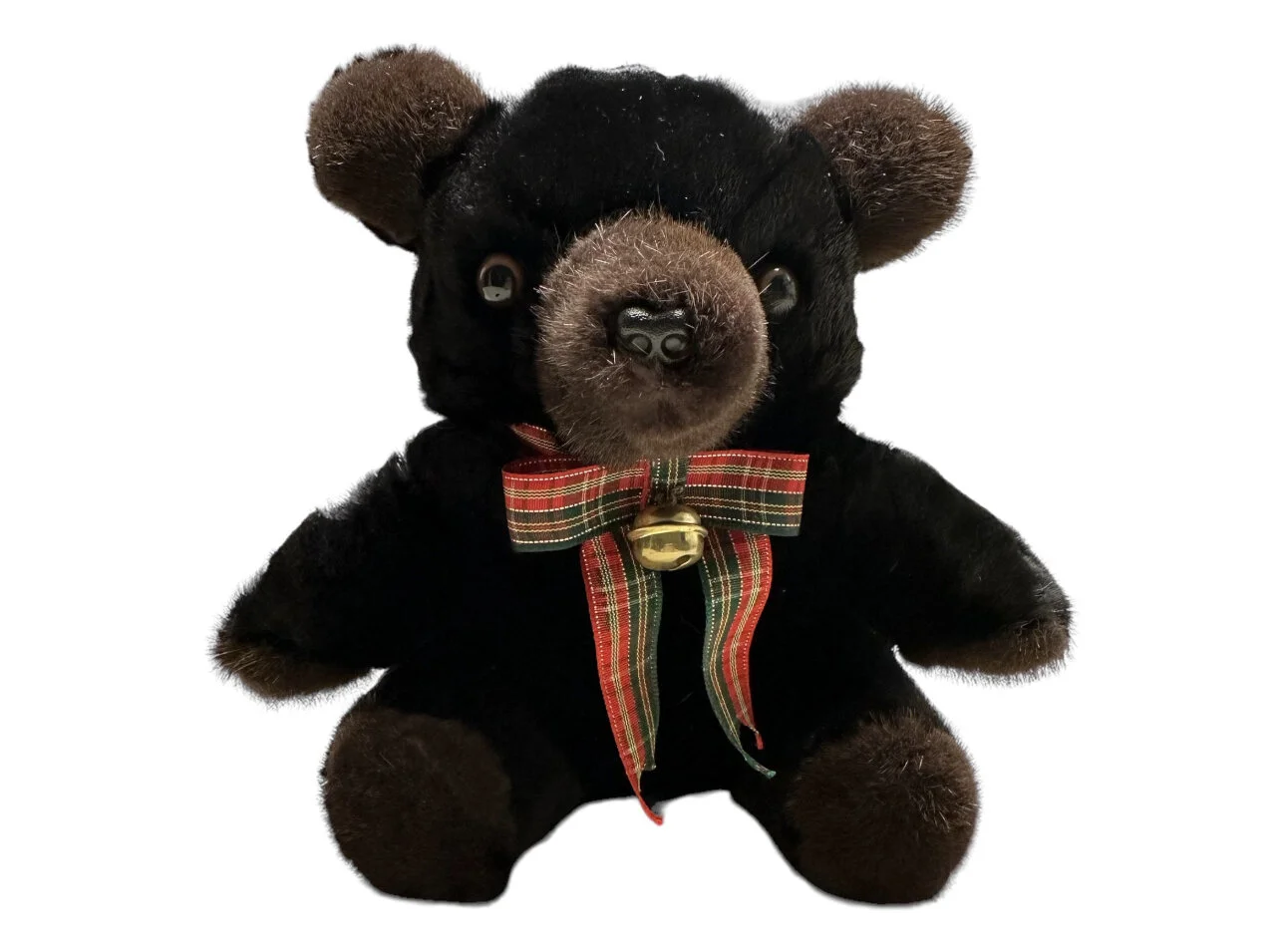 6AFAA665-8EDE-4347-AB15-4C6654D18865