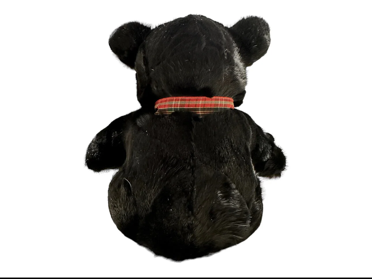 84916903-3021-4AFA-9EF3-DC9D49CD3C85