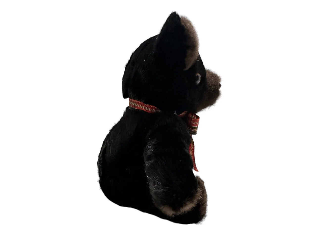 8D0BD22D-6CB1-4339-8D29-21E3C298F66D