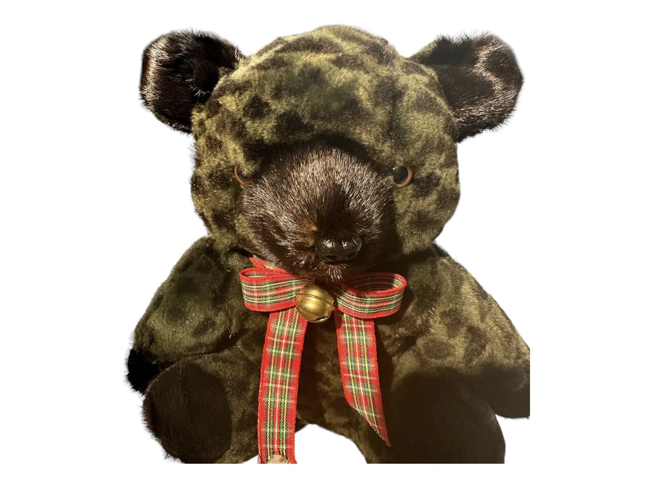 08613AC0-D3EE-4FEB-96A6-138E14DE60CE