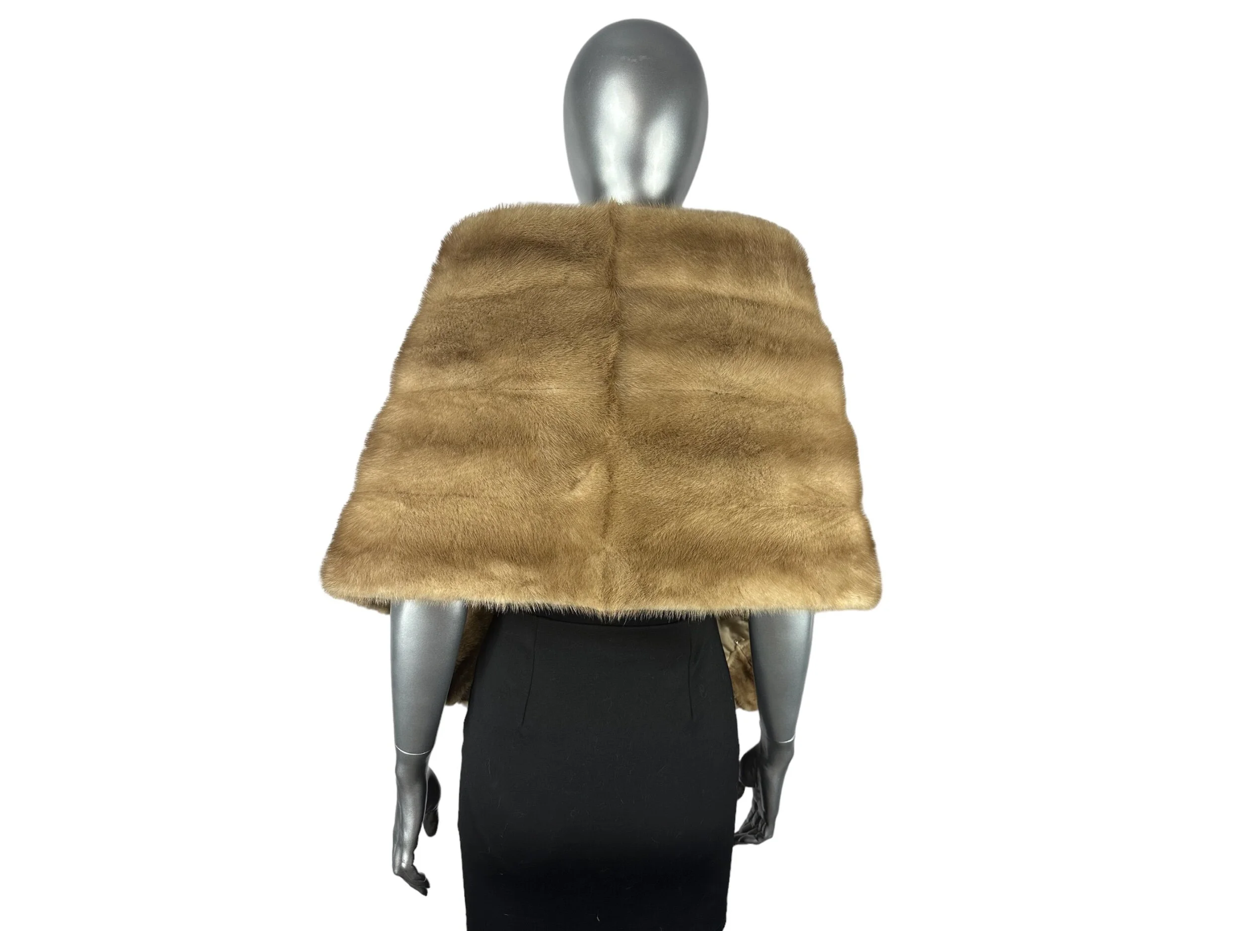 B4490DE2-32B2-4206-96FB-28270F5E53FE