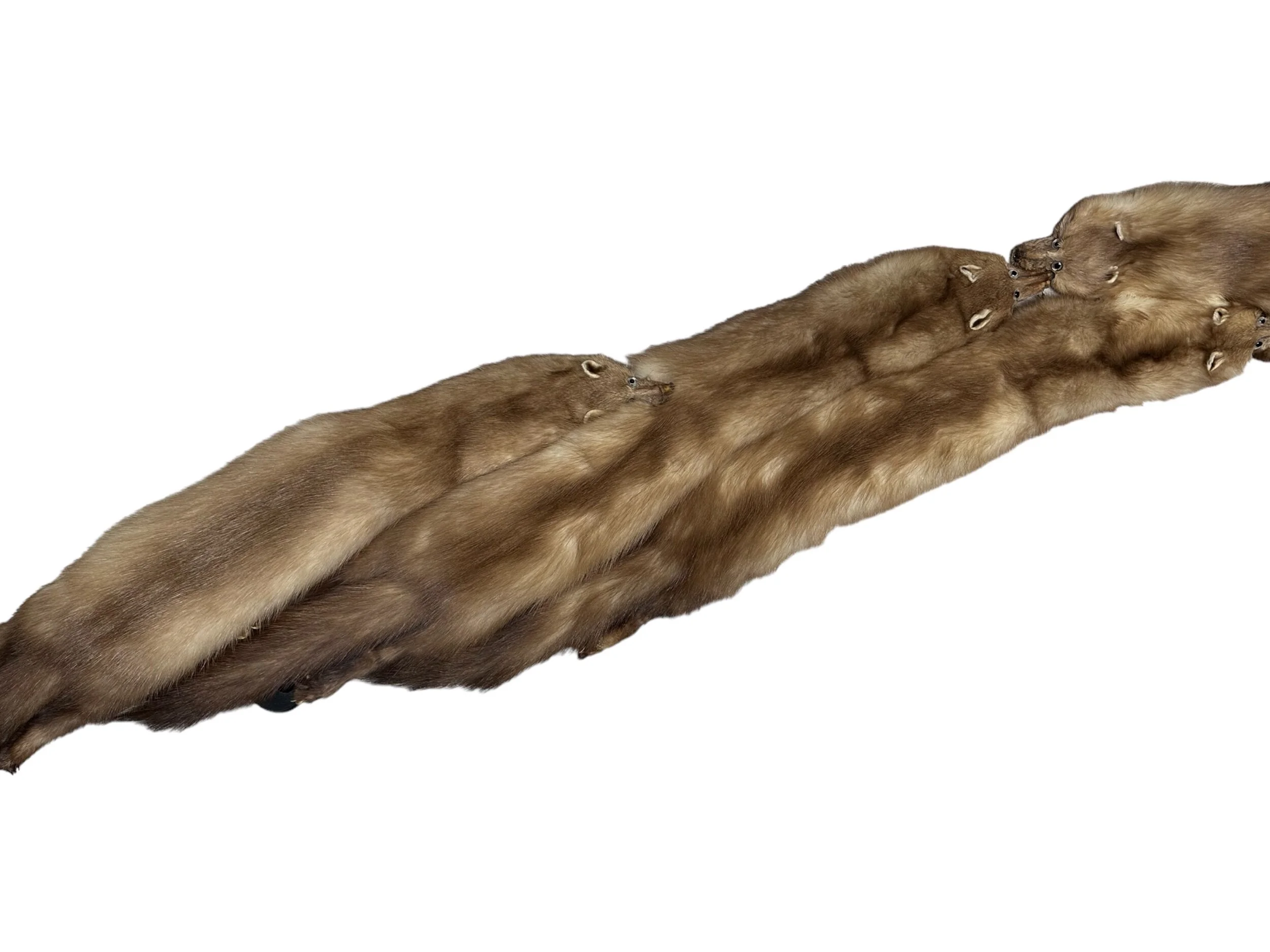 3D5B180C-B3B5-4D60-AA7A-5C75FA863403