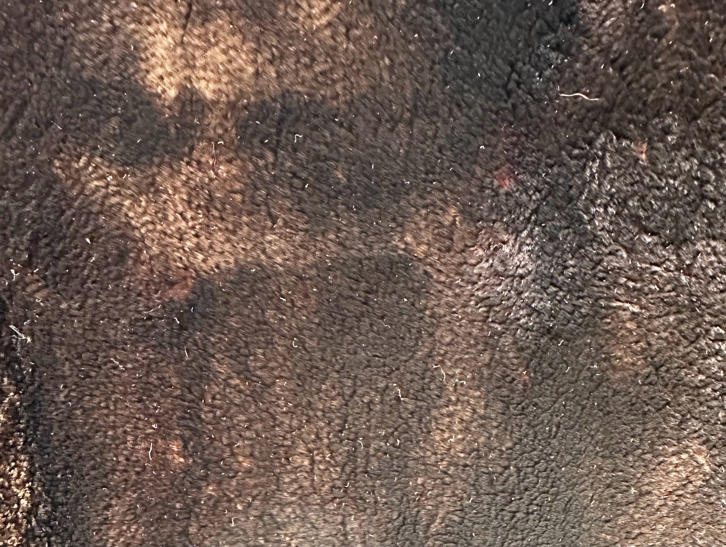 4B2182C4-2C30-4AC3-B559-2FB2854E4C48.jpeg