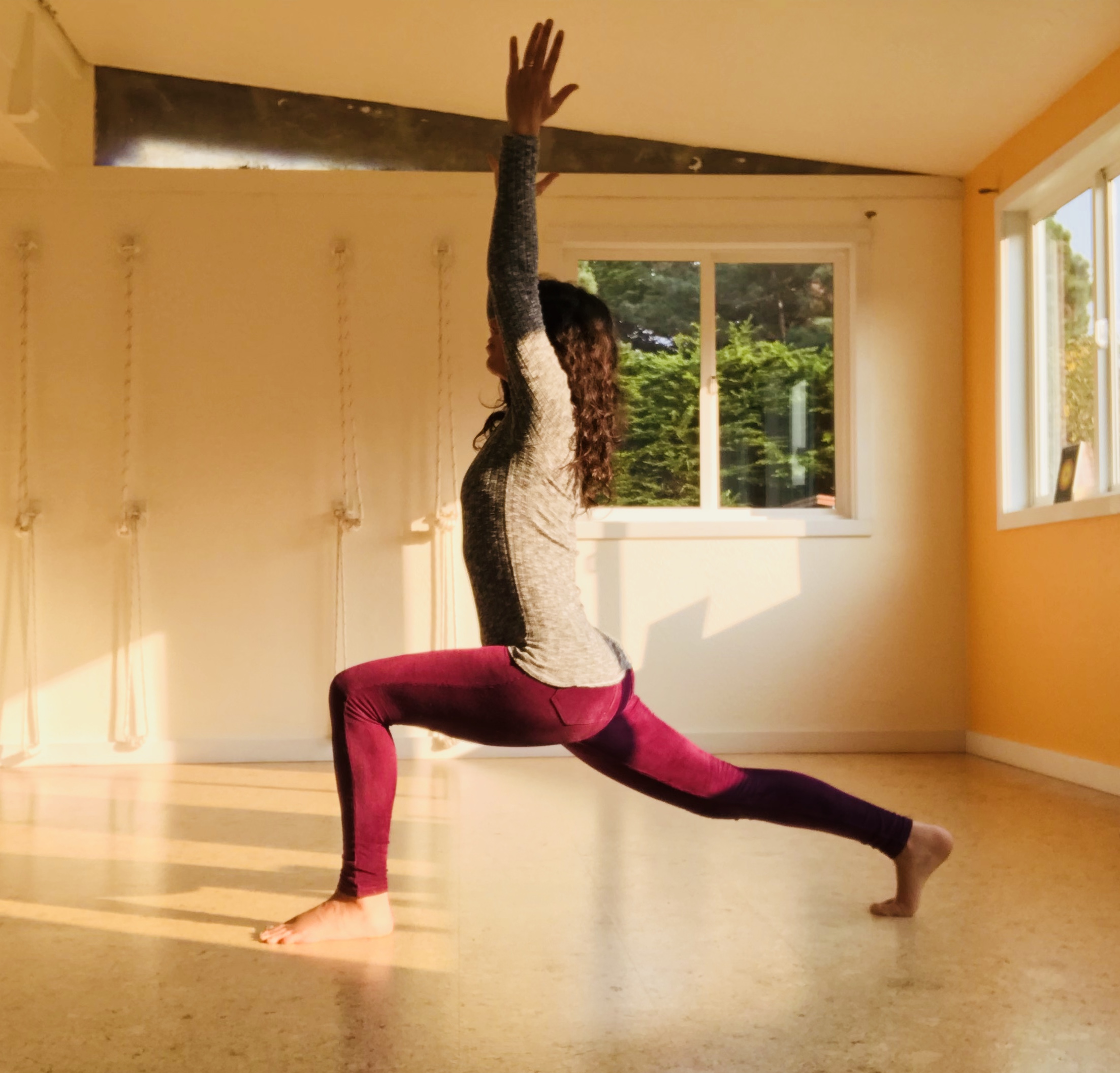 Yoga, Fascia and Anatomy Series