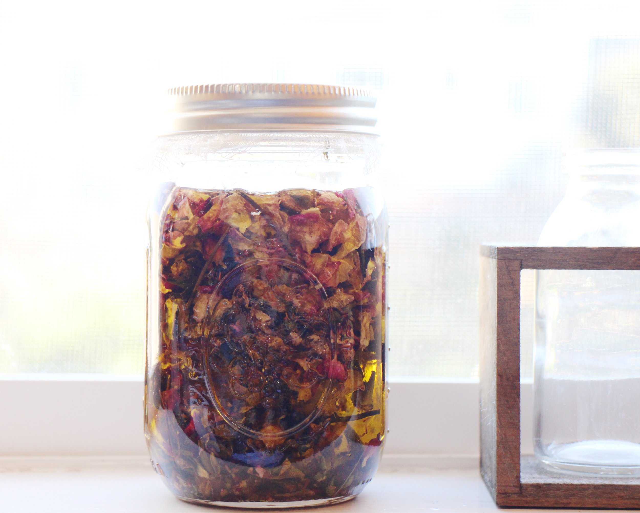 Infusing Oil With Rose Scent - How To Make A Homemade Rose Oil Infusion