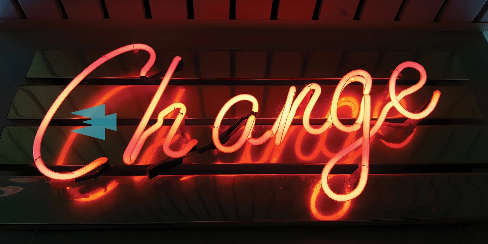 halcyon-blog-organisational-change.jpg