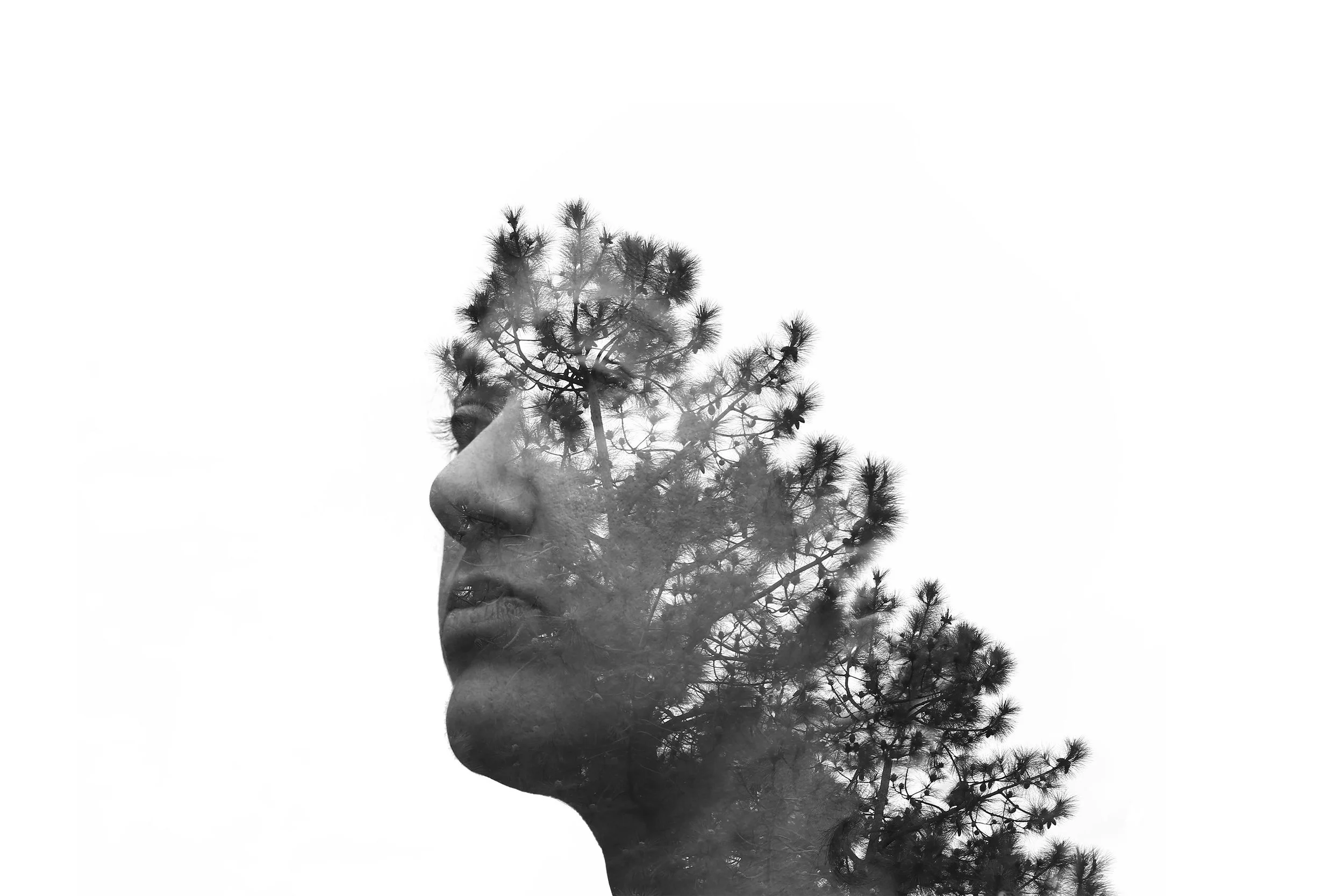 1a copy copy copy copy copy copy1.jpg