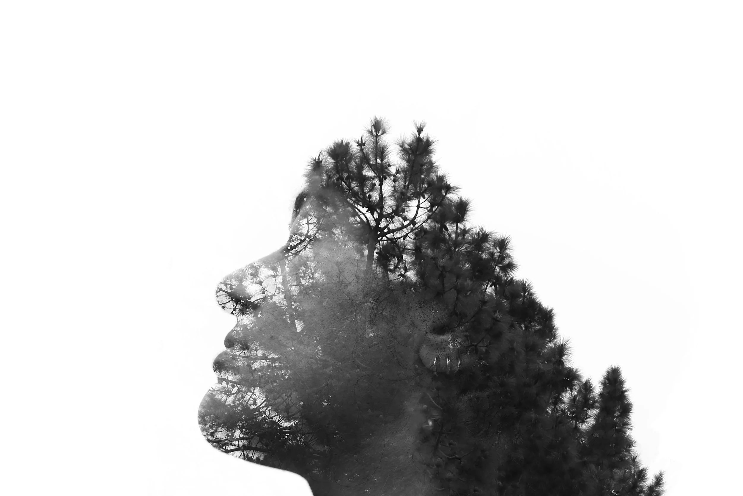 IMG_0019 copy copy copy copy copy copy copy copy1.jpg