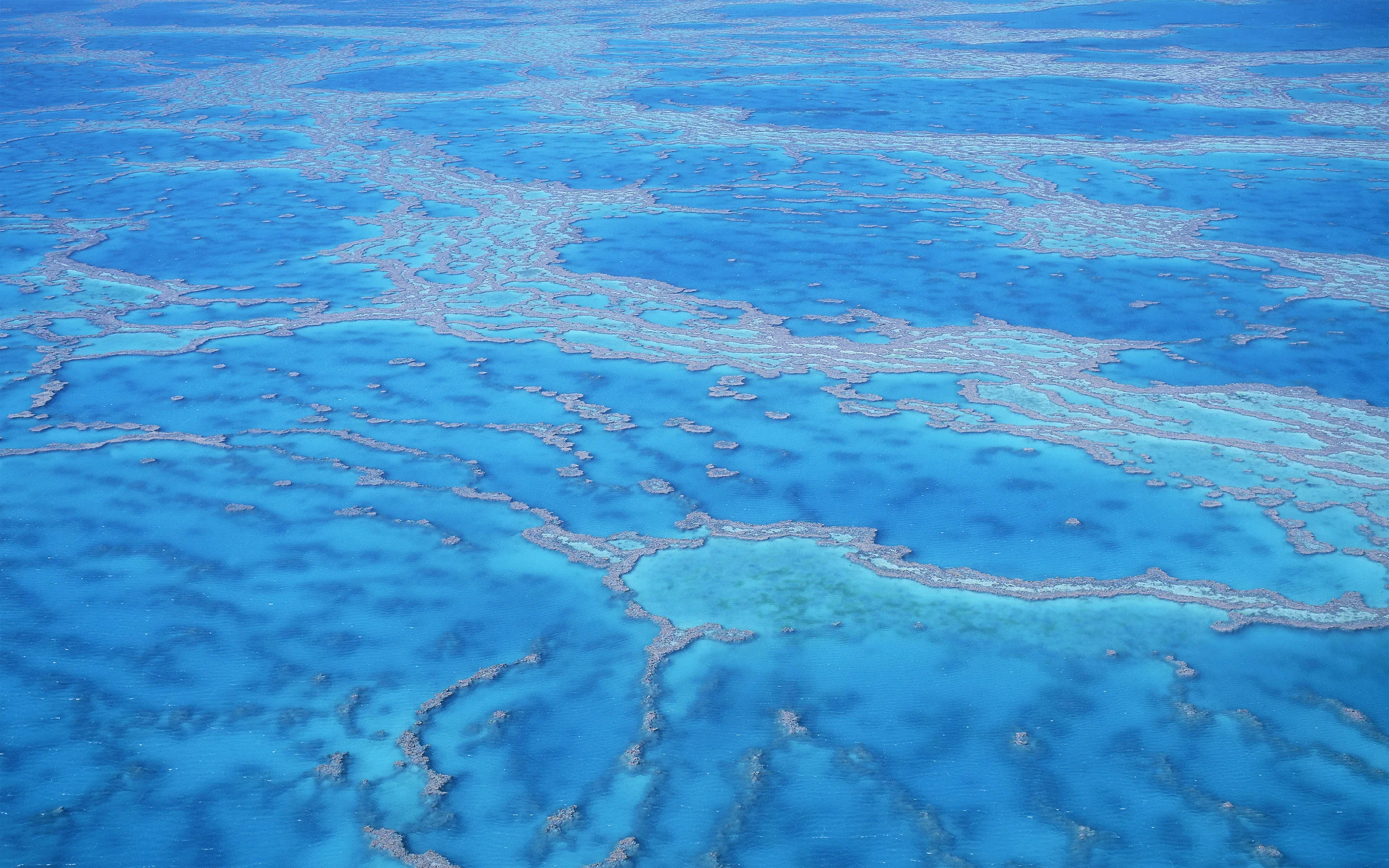 Aerial06.jpg