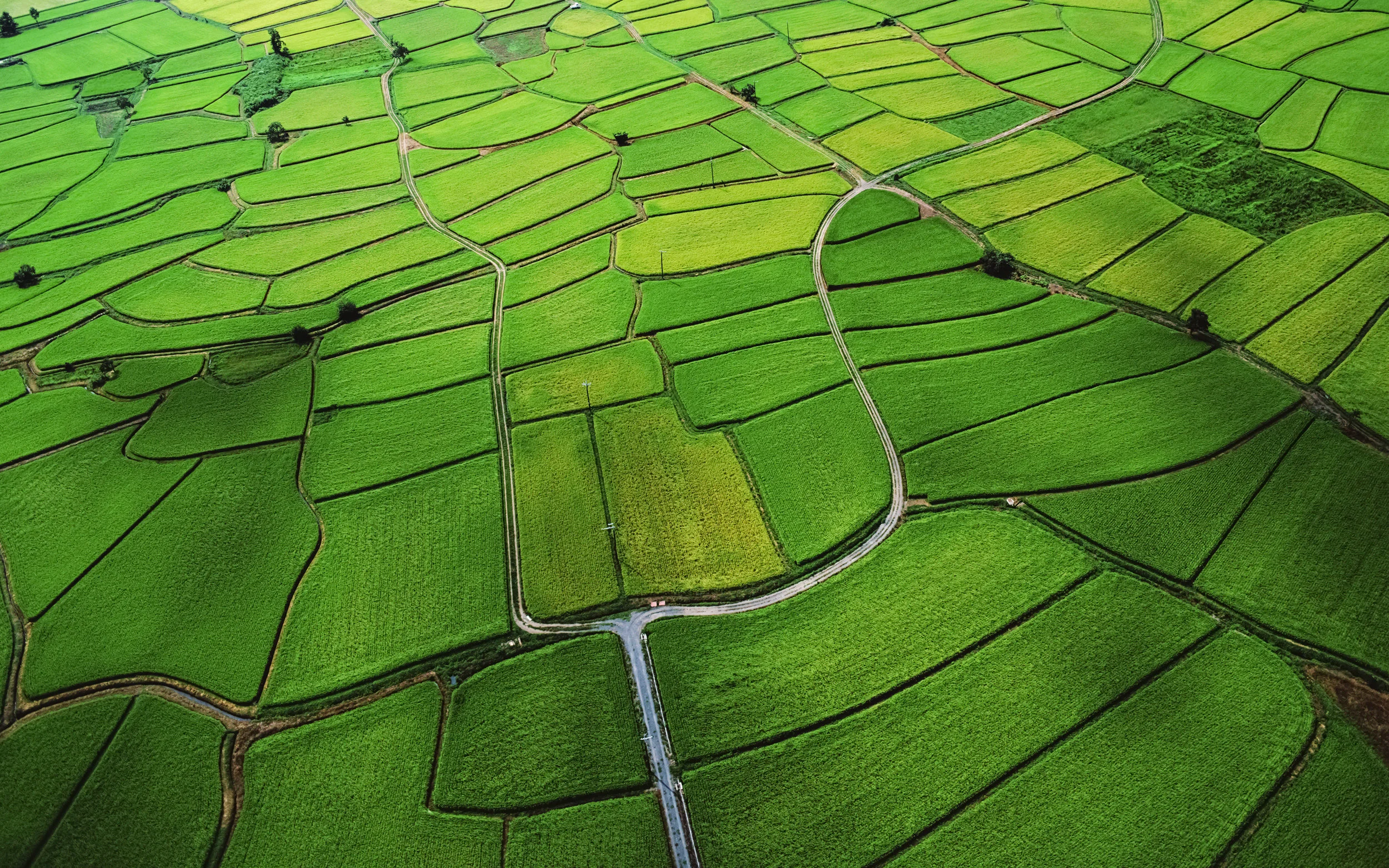Aerial07.jpg
