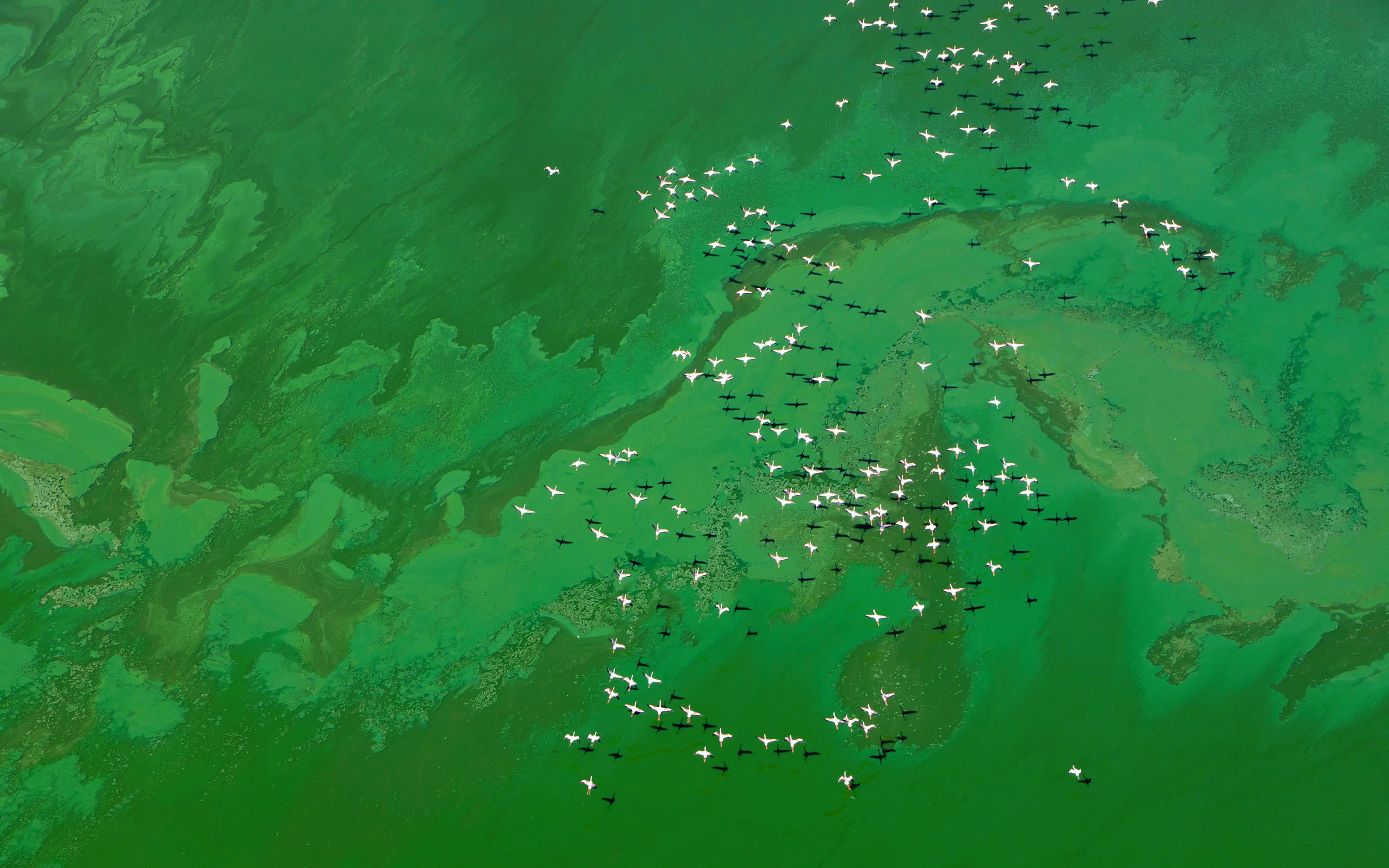 Aerial01.jpg