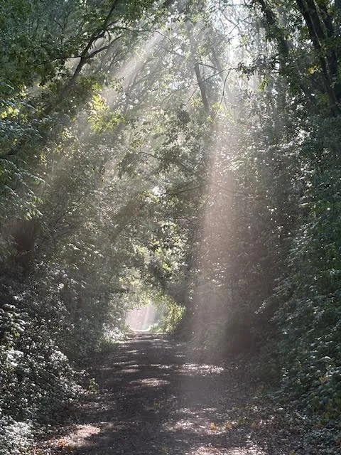  Leadership Alignment Intensive 