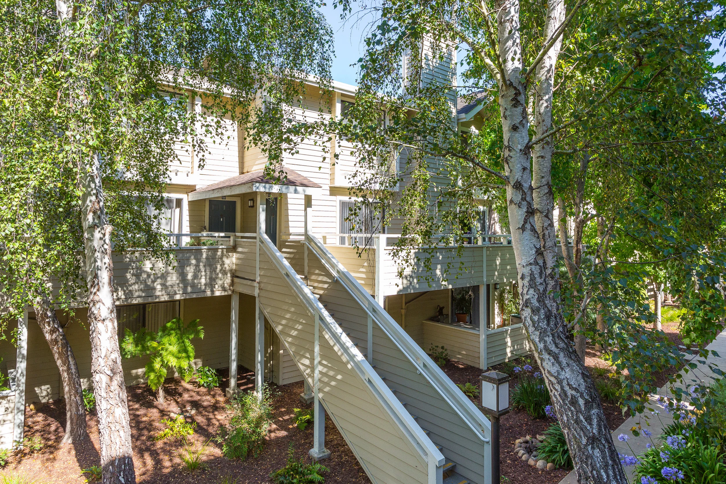TourID: ~ Sam Bird-Robinson 41 Grandview #1305