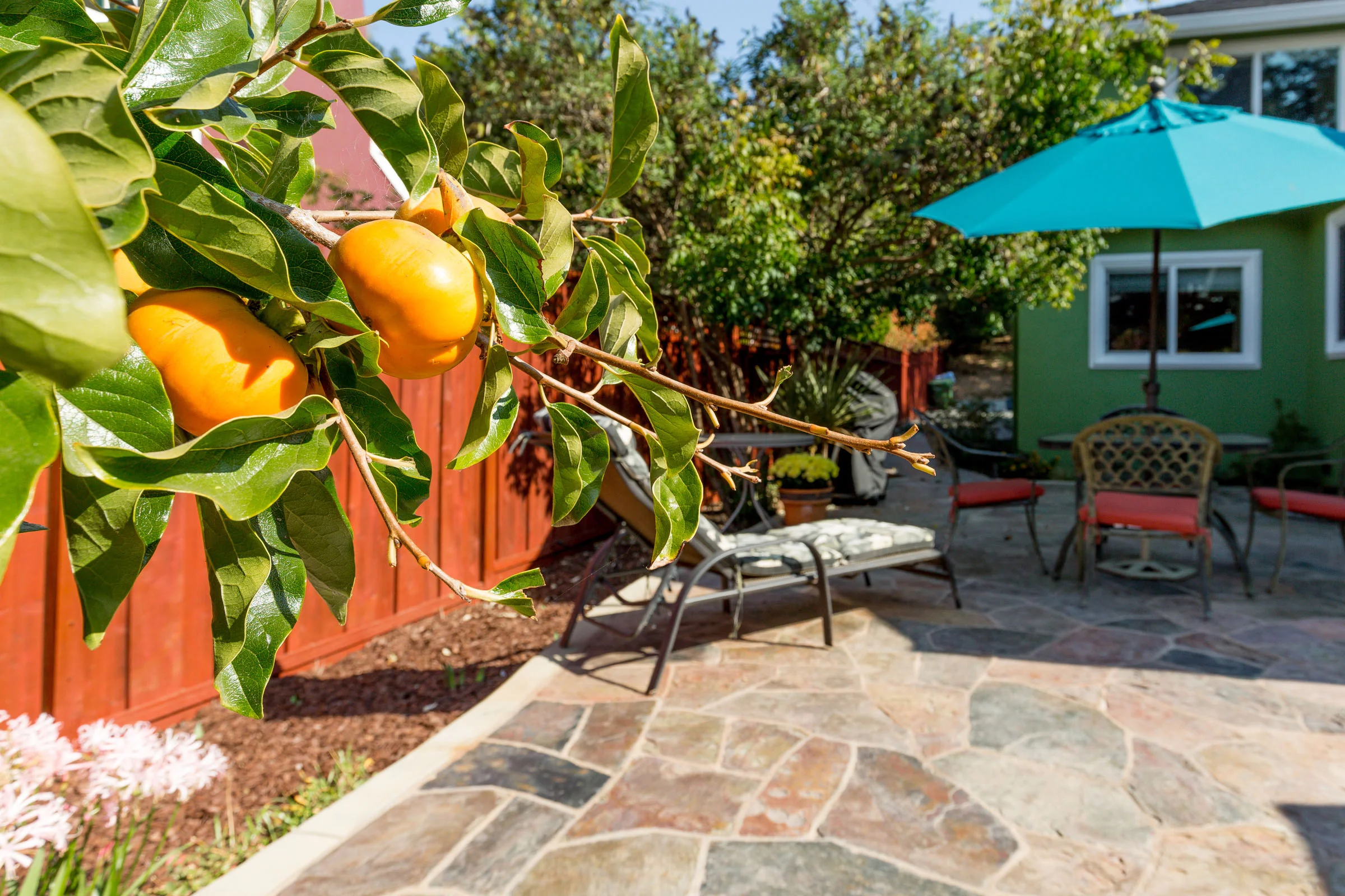 Fruit Trees Aptos Homes For Sale