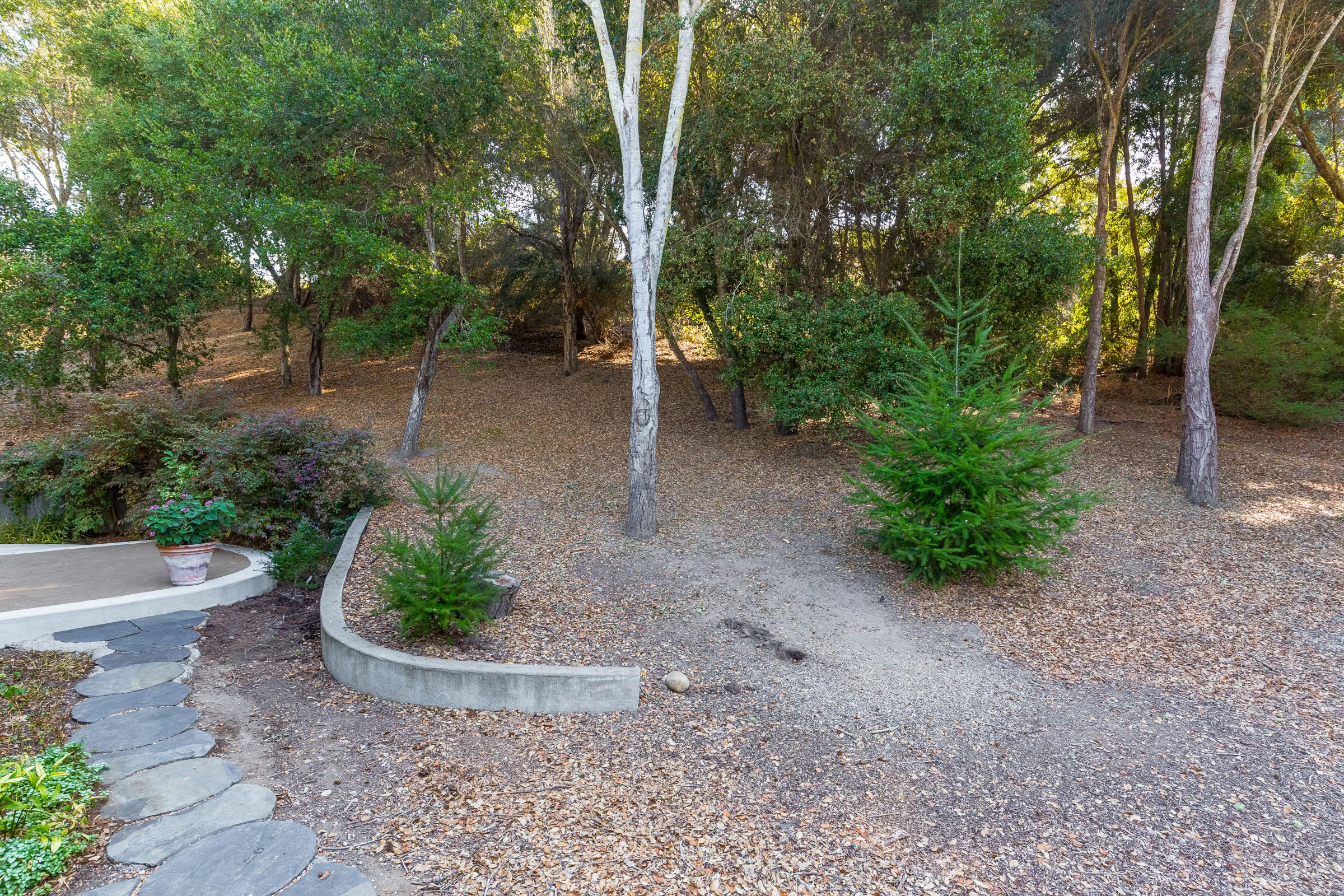 Quiet Road in Aptos Santa Cruz Real Estate Agent.jpg