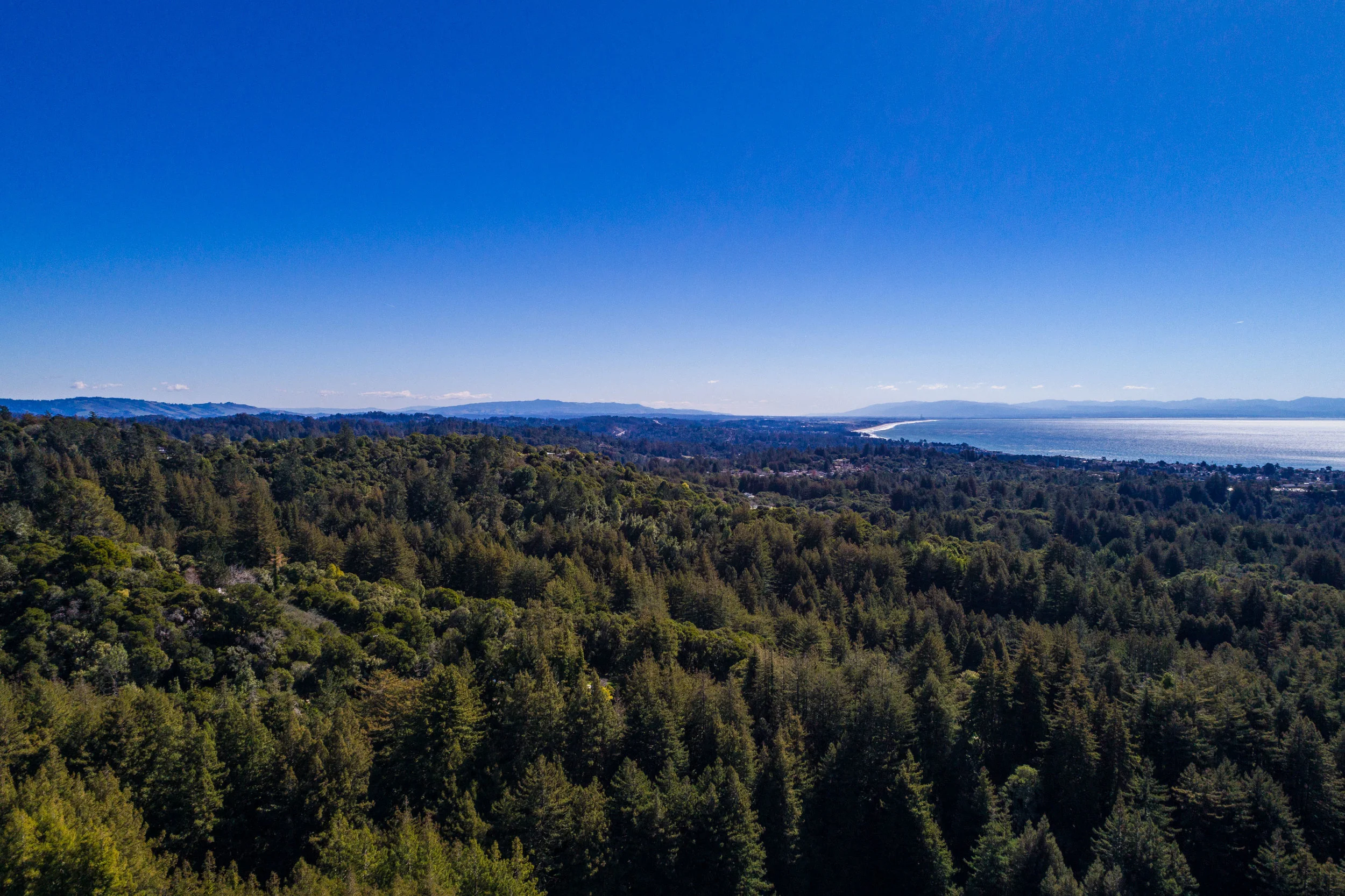 1 Bedroom Minutes From Highway 1 Santa Cruz Real Estate Offices