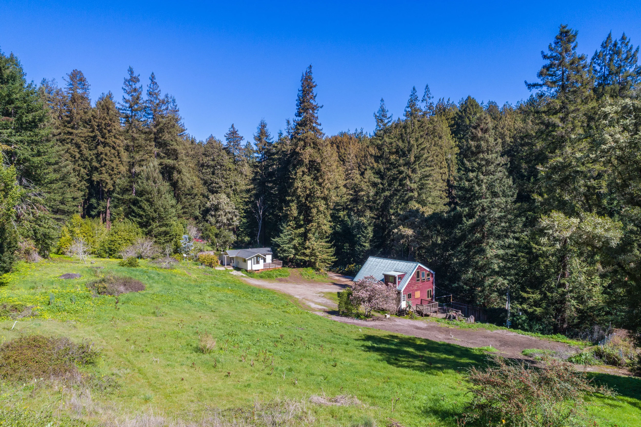 6+ Acre Property in Santa Cruz County