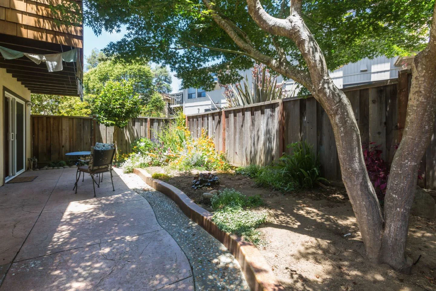 Backyard with Mature Tree Santa Cruz Real Estate Agents