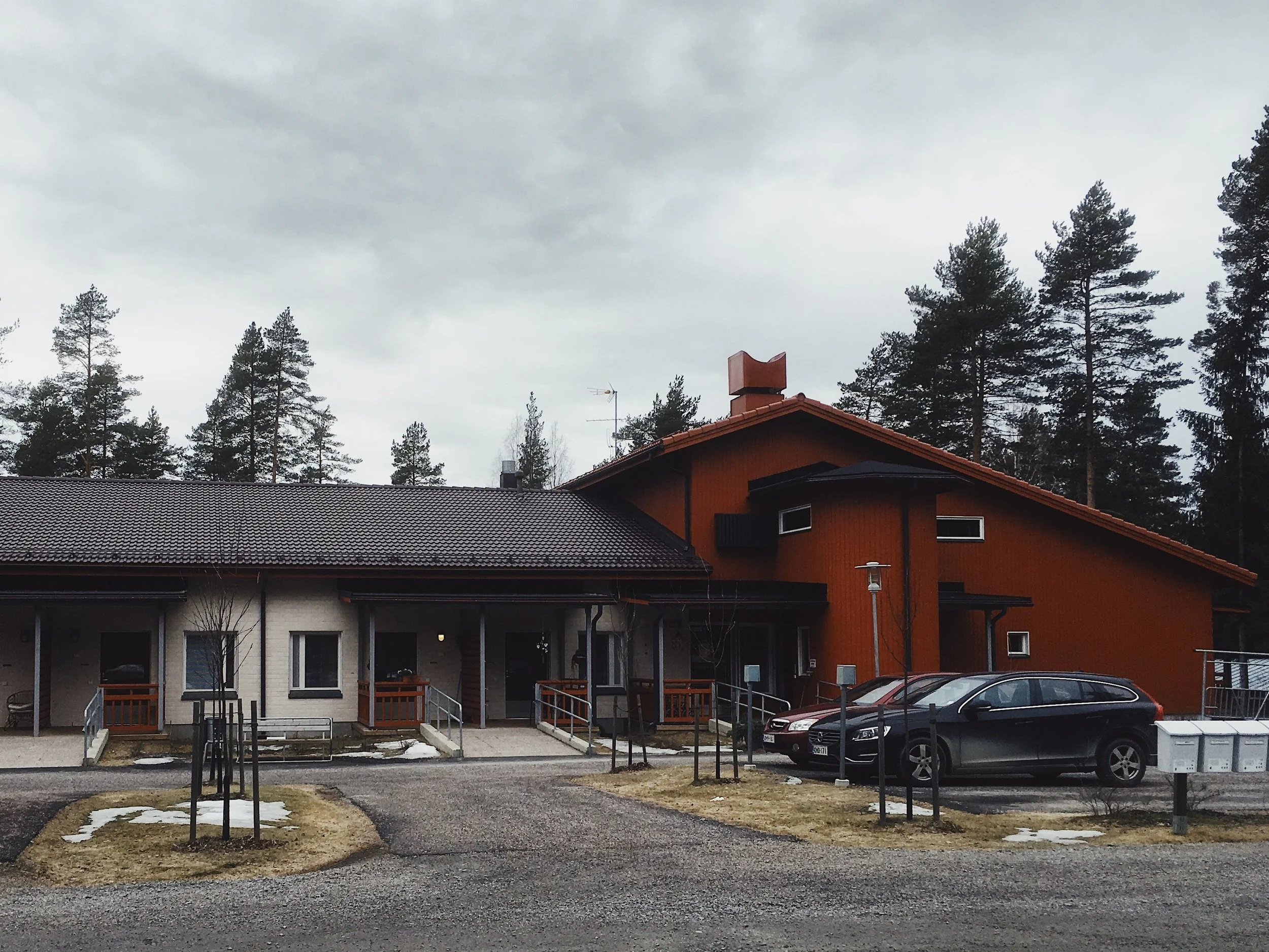 metsatahti.jpg