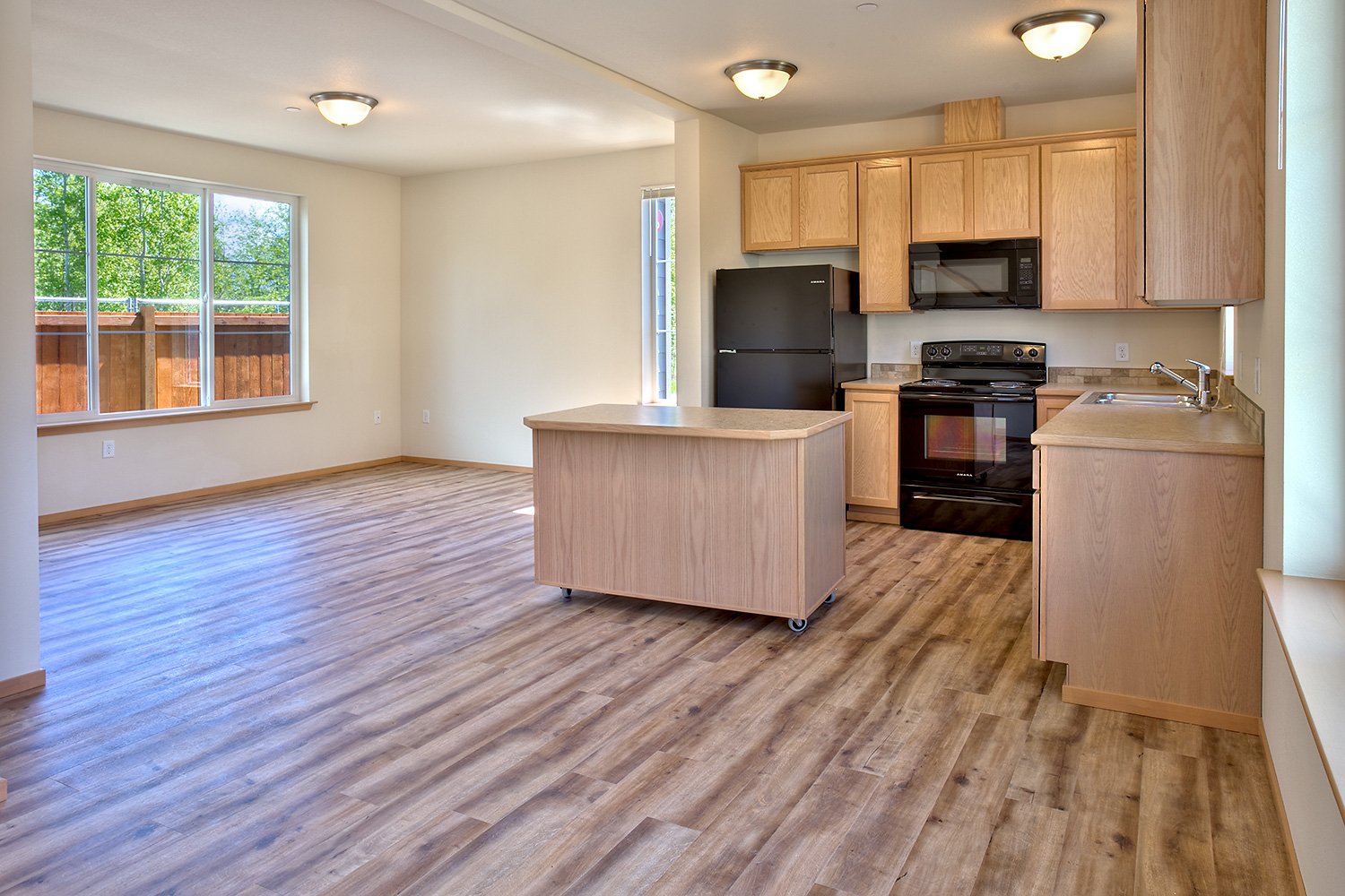 Kitchen with Moveable Island