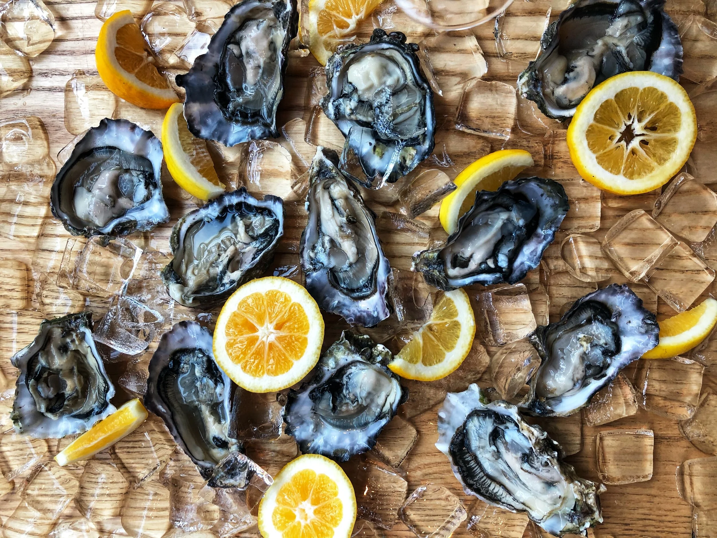 Champagne & oysters in Two Grey