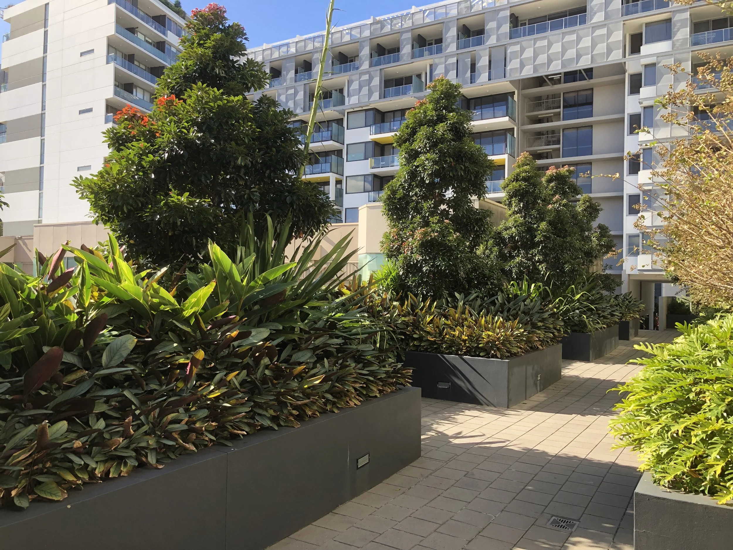 Emerald Park Apartments — Sturt Noble Associates