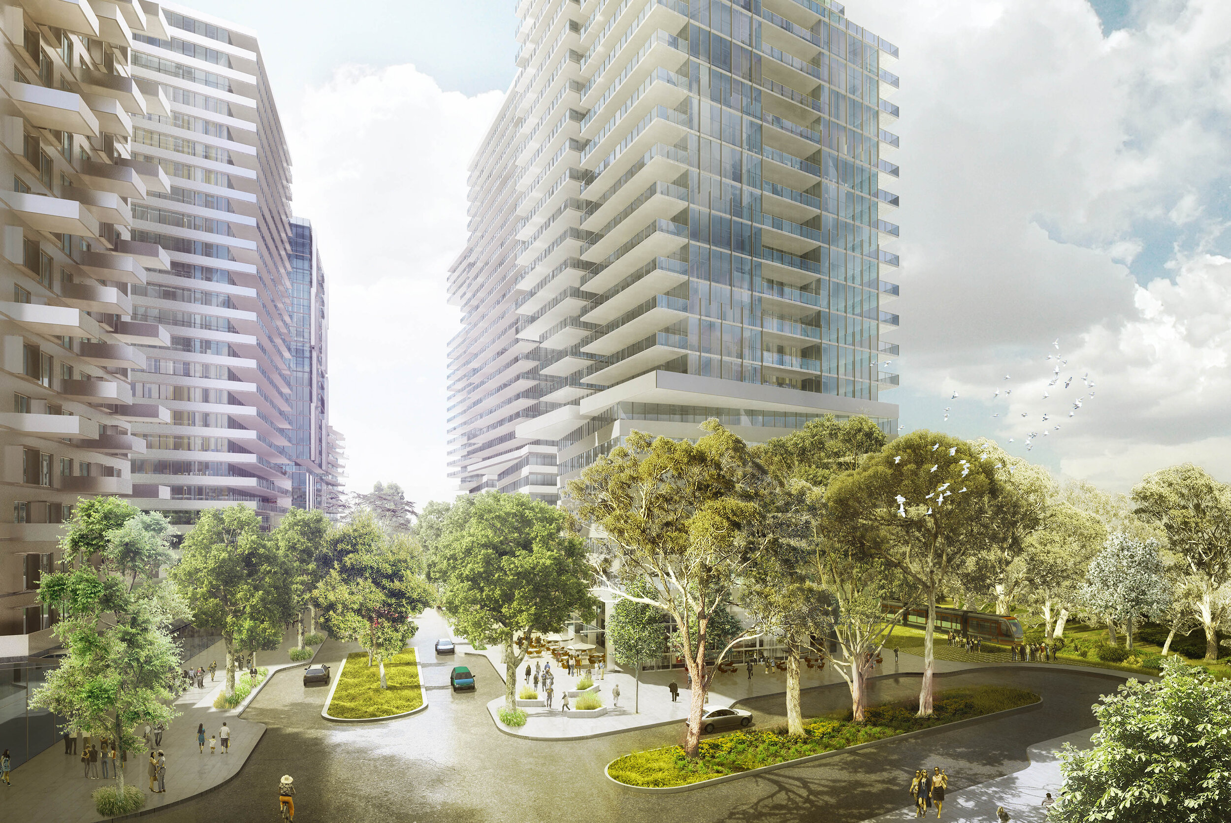 Camellia Precinct Masterplan