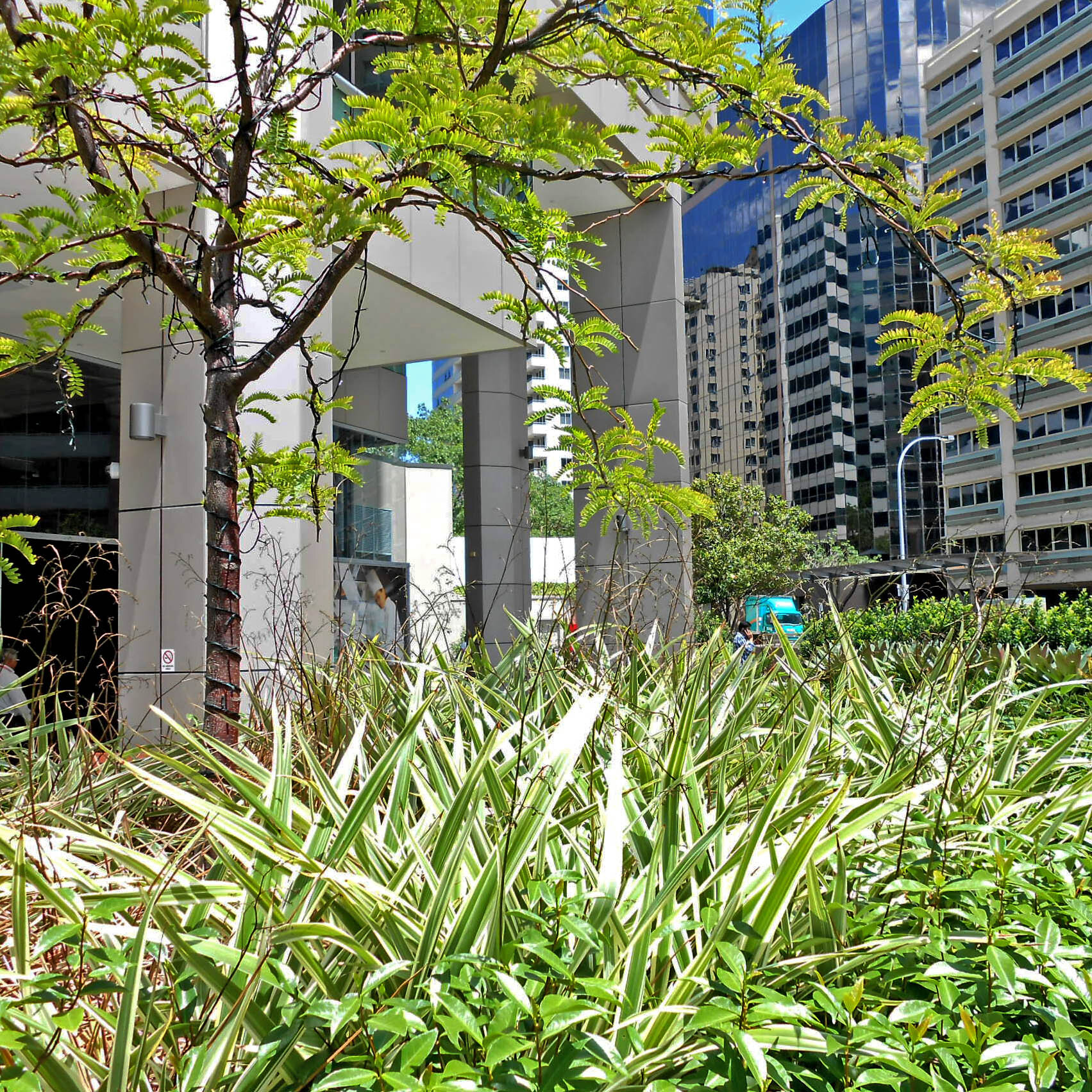 Victoria Avenue, Chatswood