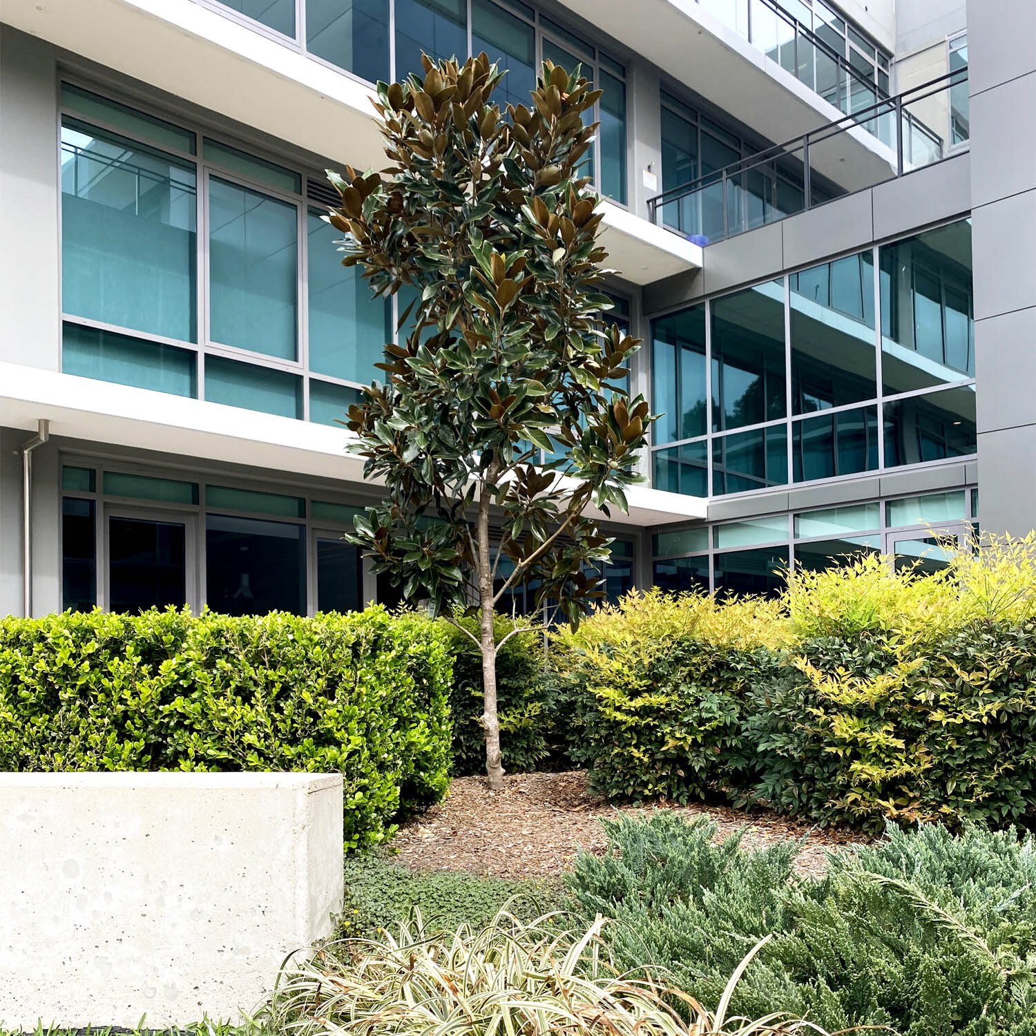 HILLS SHIRE COUNCIL offices