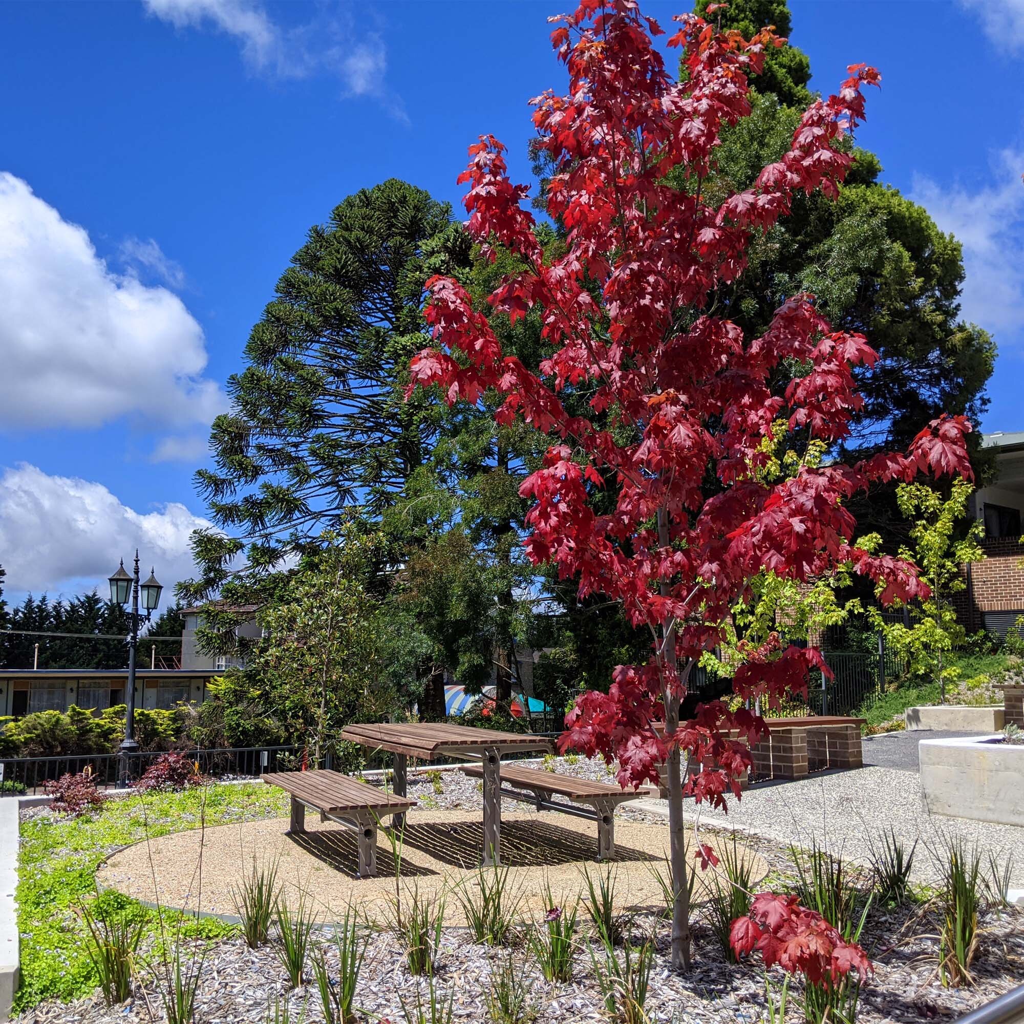 WARATAH STreet apartments