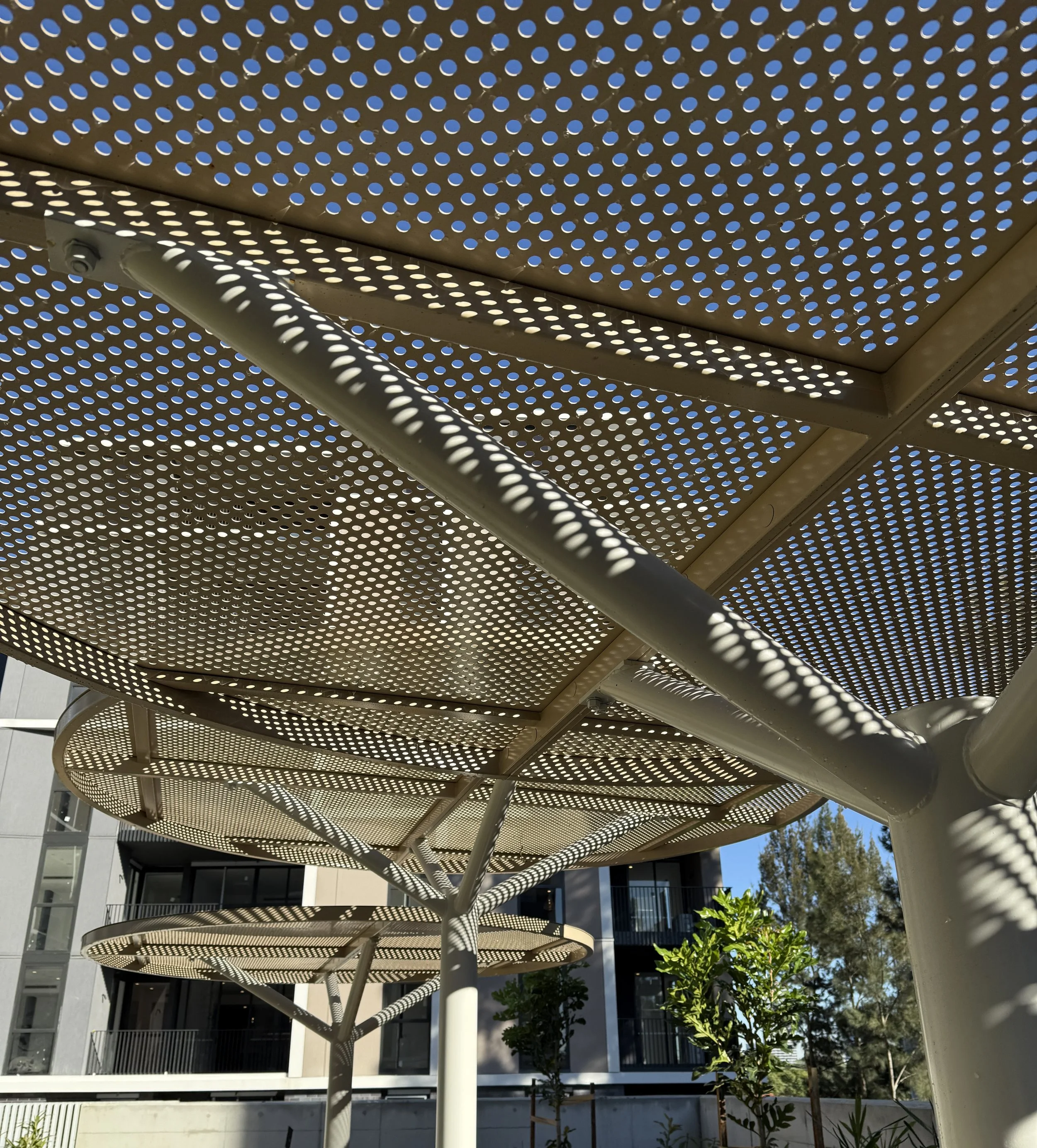 IMG_2114 pergola.JPG