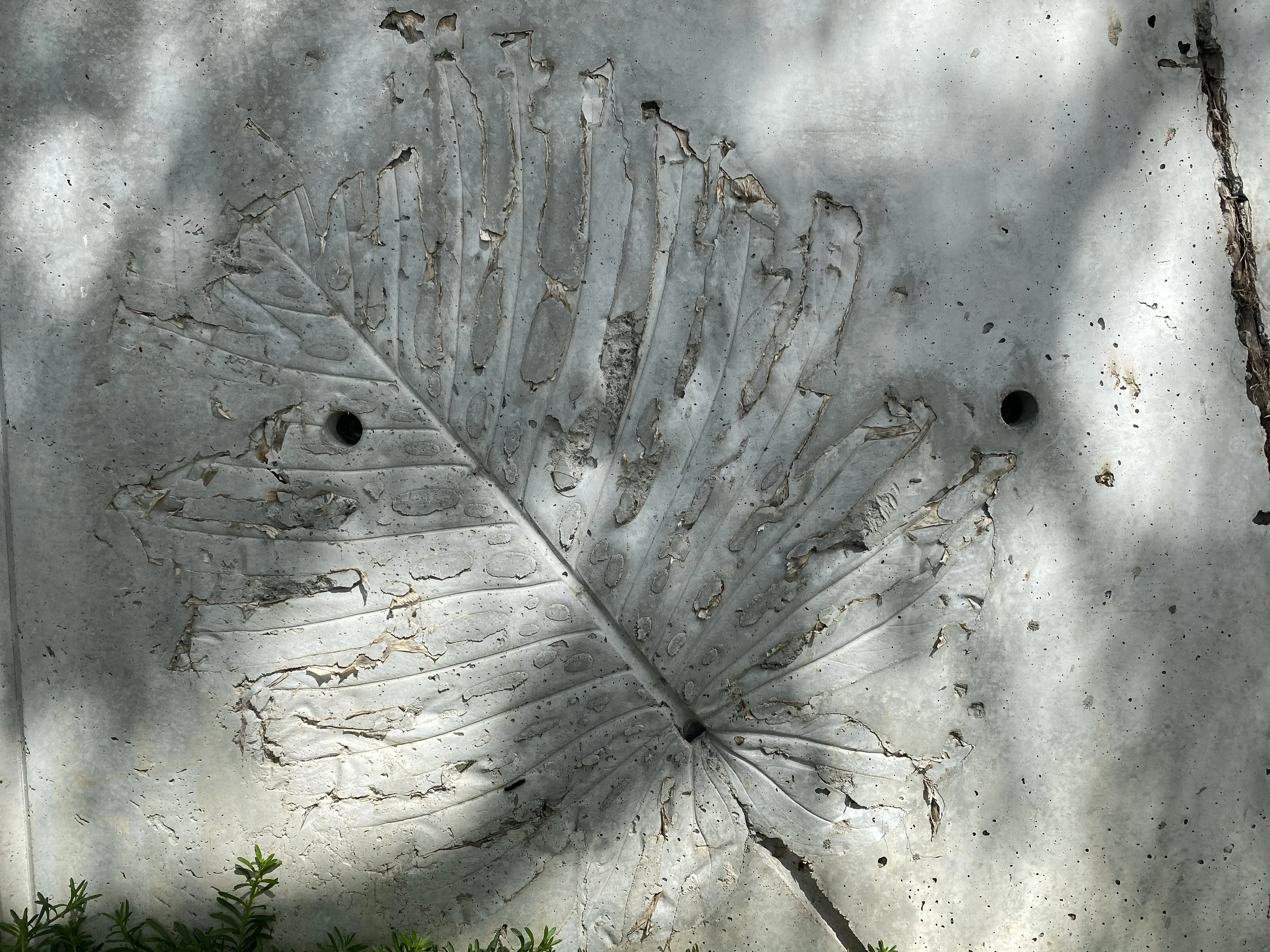 Photo 10-2-21, 10 21 50 am.jpg